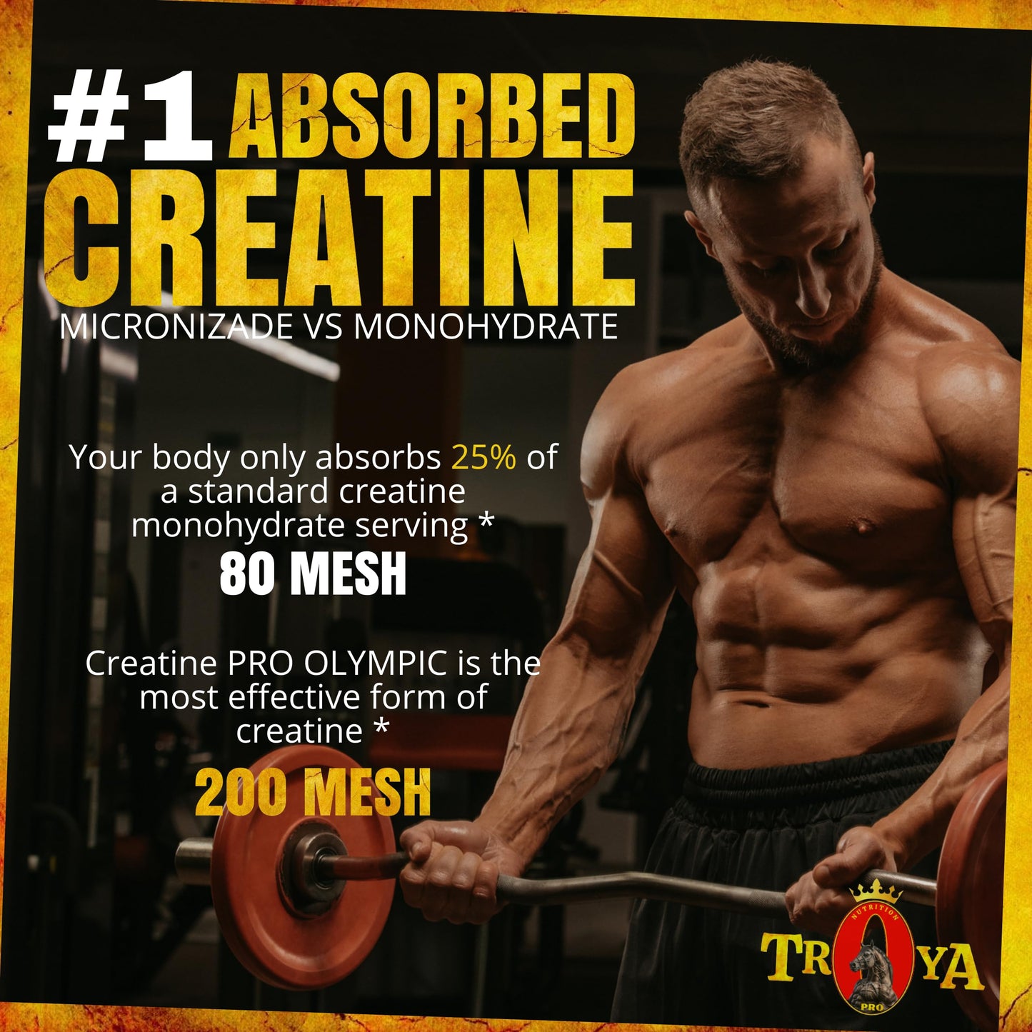 CREATINE MONOHYDRATE Powder Pure Micronized Muscle Recovery + Builder for Men & Women | Nutrition Pre and Post Workout | Professional Dosage (100 Grams (20 Services))