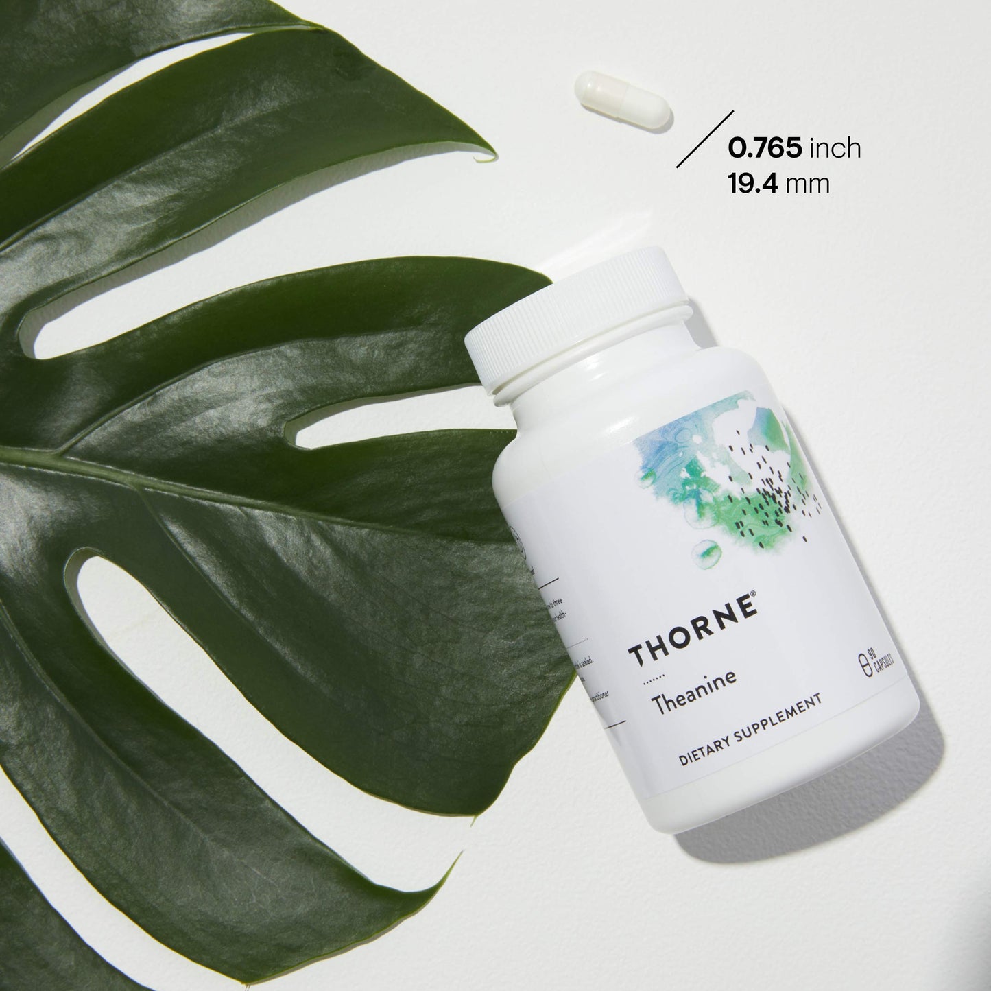 THORNE Theanine - 200mg of L-Theanine - Support a Healthy Stress Response, Relaxation, and Focus - Increases Brain Alpha-Wave Production* - 90 Capsules