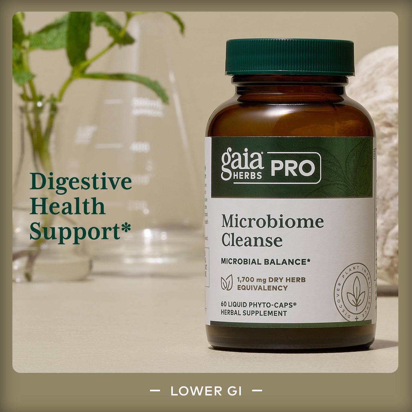 Gaia Herbs Pro Microbiome Cleanse - Digestive Health Support Supplement* - GI Health Supplement* with Oregano Leaf, Peppermint Leaf Essential Oil & Sweet Wormwood - 60 Liquid Phyto-Caps (60 Servings)