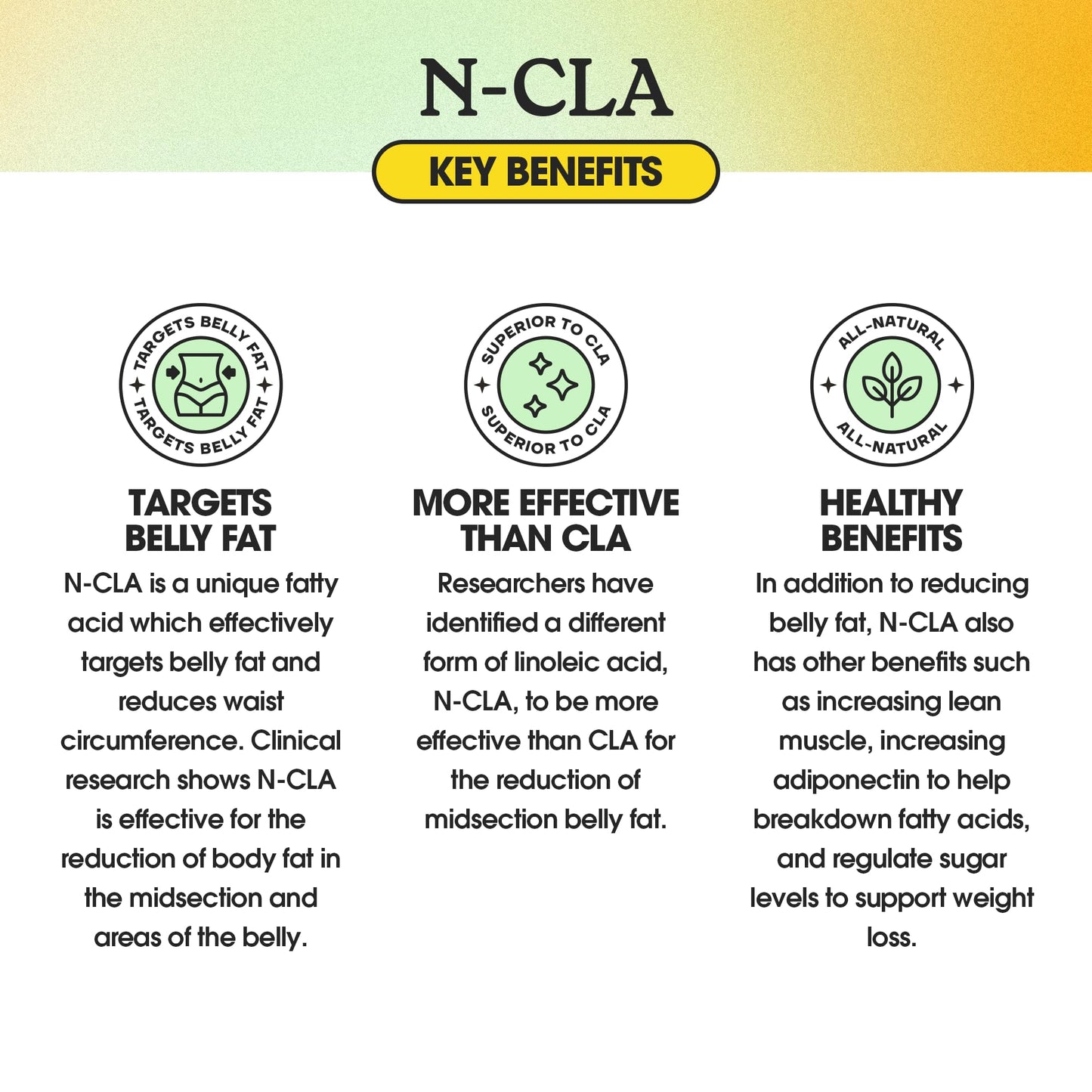 Fit & Lean N-CLA, Weight Loss Supplement, Reduces Belly Fat Better Than CLA, Boost Metabolism, Supports Lean Muscle, Stimulant Free, Non Conjugated Linoleic Acid, 120 Servings (Packaging May Vary)