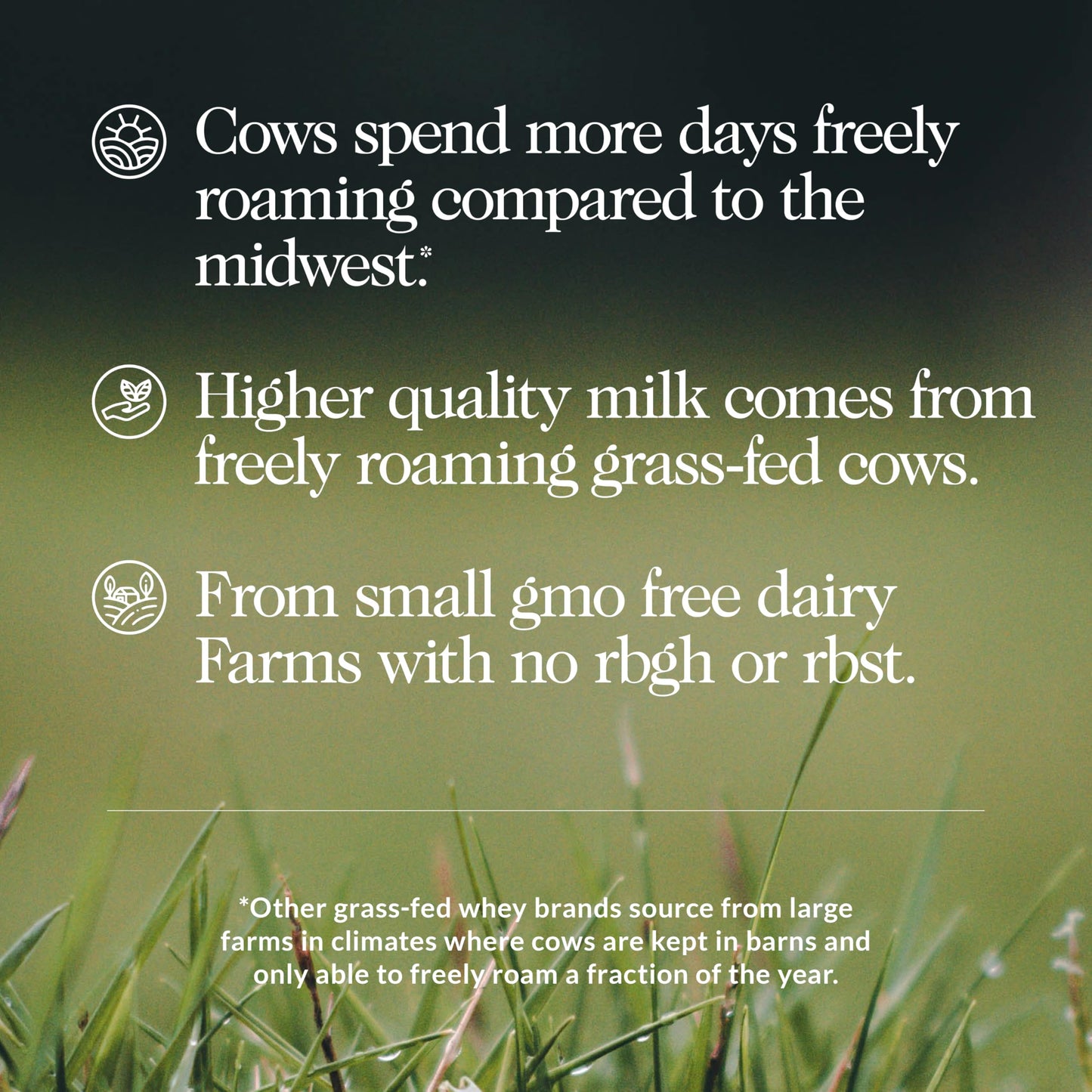 Naked Whey 2LB 100% Grass Fed Whey Protein Powder - Only 1 Ingredient, Unflavored Whey Protein, Undenatured, Gluten Free, Soy Free, No GMOs, No Preservatives