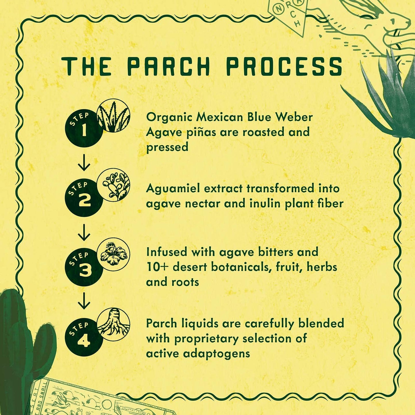 PARCH Spiced Pinarita  Prickly Paloma Variety Pack Ready to Drink Non Alcoholic Agave Cocktail Infused with Desert Botanicals  Adaptogens Plant Based Gluten Free  Vegan 84 oz x 8 pack