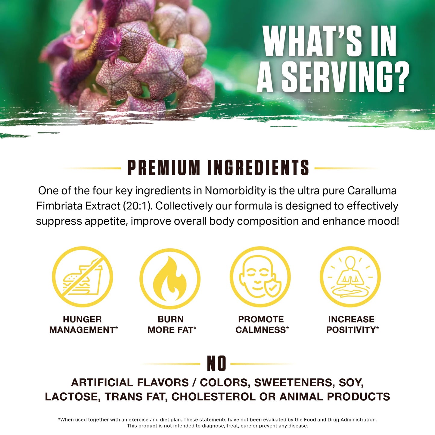 Ambrosia Nomorbidity Advanced Appetite Control & Hunger Management Formula | Appetite Suppressant & Mood Support with KSM-66 Ashwagandha, Garcitrin, and Thinogen