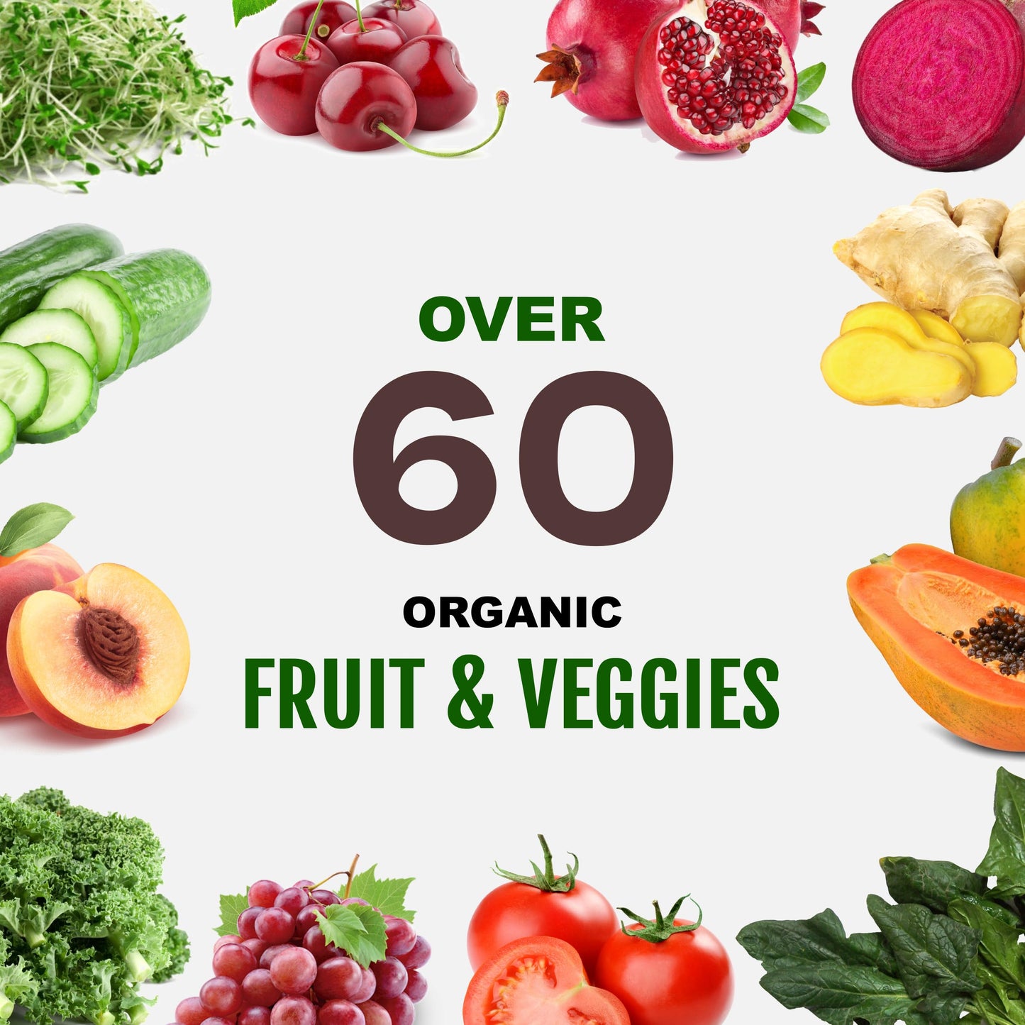 Vegan Sport Protein Powder Chocolate 20 servings - 30g Plant Based Protein, VELOSITOL, BCAAs, Organic Greens & Fruits, Probiotics, Tart Cherry for Post Workout Recovery, Inform Sports Certified Keto