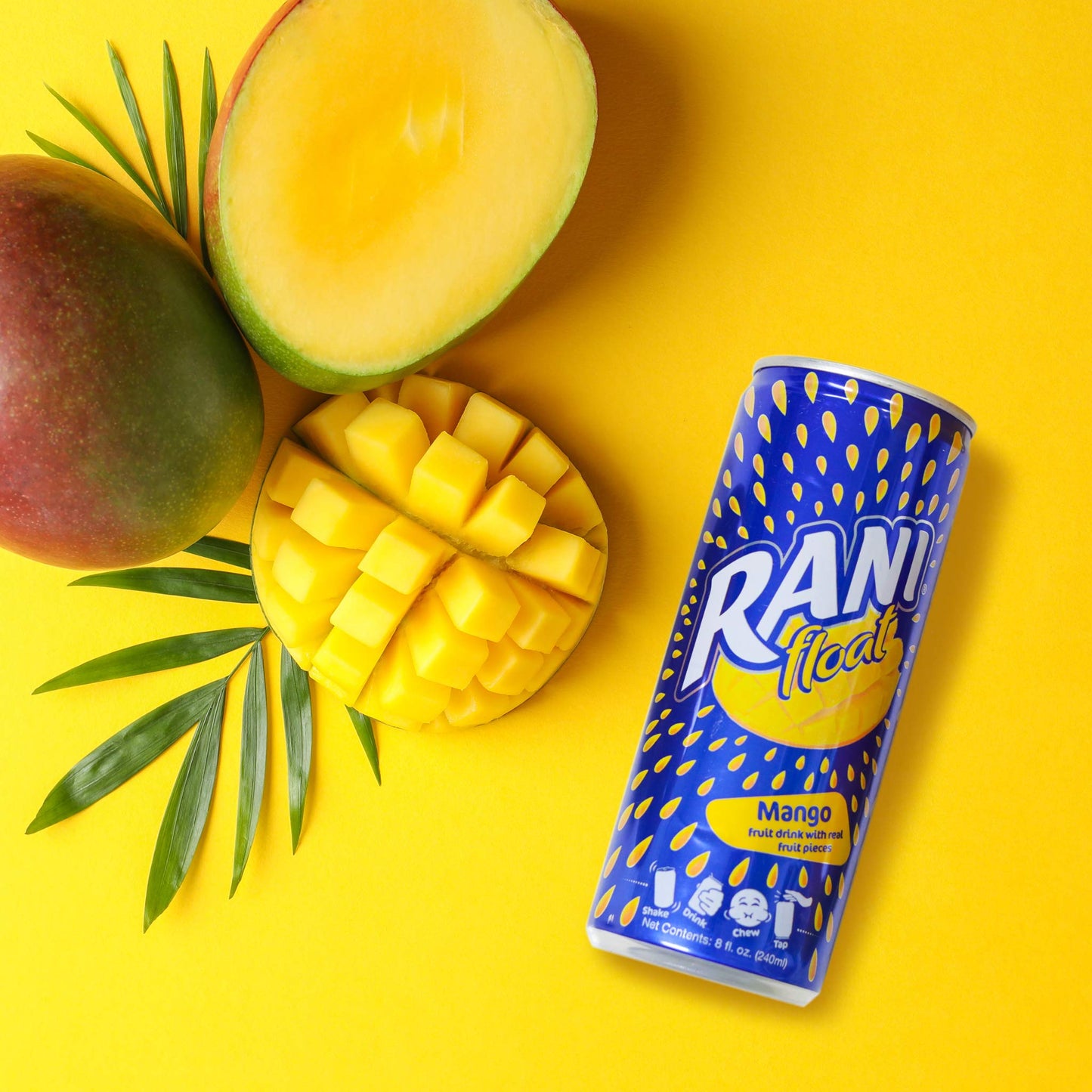 Rani Float Fruit Juice Drink Variety Pack Mango Orange Peach Pineapple Imported from Dubai Made with Real Fruit Pieces Low Sugar 8 oz Pack of 24