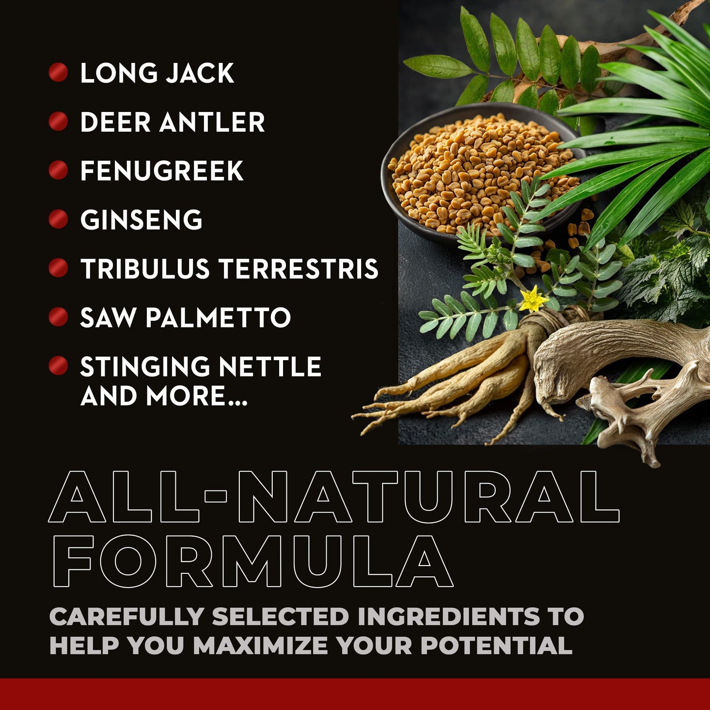 Nar Labs AndroStar Hardcore | Natural Testosterone Booster | Estrogen Blocker for Men | Boost Muscle Growth | 120 Capsules