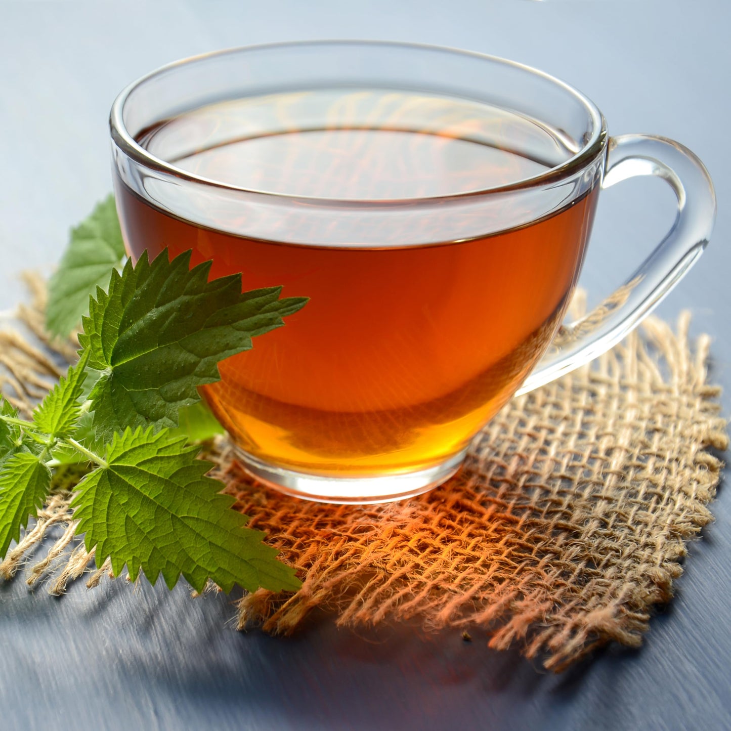 Snacktery Peppermint Tea Bags  Made with 100 Natural Peppermint Leaves  Caffeine Free Herbal Mint Tea  20 Herbal Tea Bags