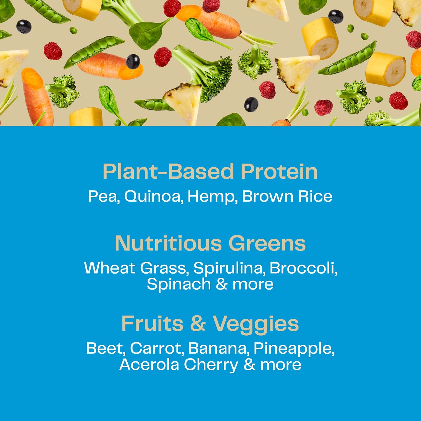 Amazing Grass Organic Plant Protein Blend: Vegan Protein Powder, New Protein Superfood Formula, All-In-One Nutrition Shake with Beet Root, Pure Vanilla, 11 Servings
