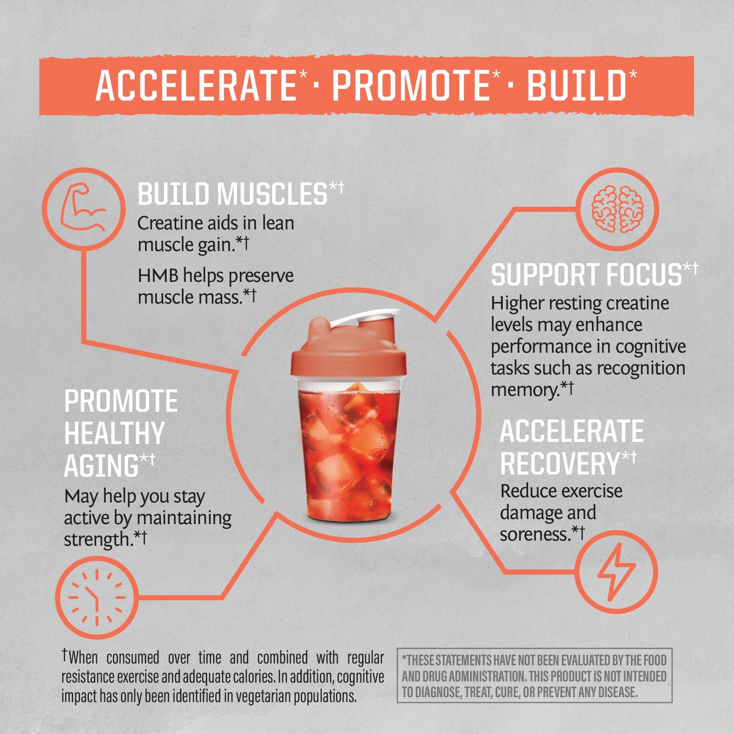 Sunwarrior HMB + Creatine Monohydrate Powder Micronized PreWorkout Leucine Recovery Supplement for Men & Women 240g Pouch | Unflavored 30 Servings