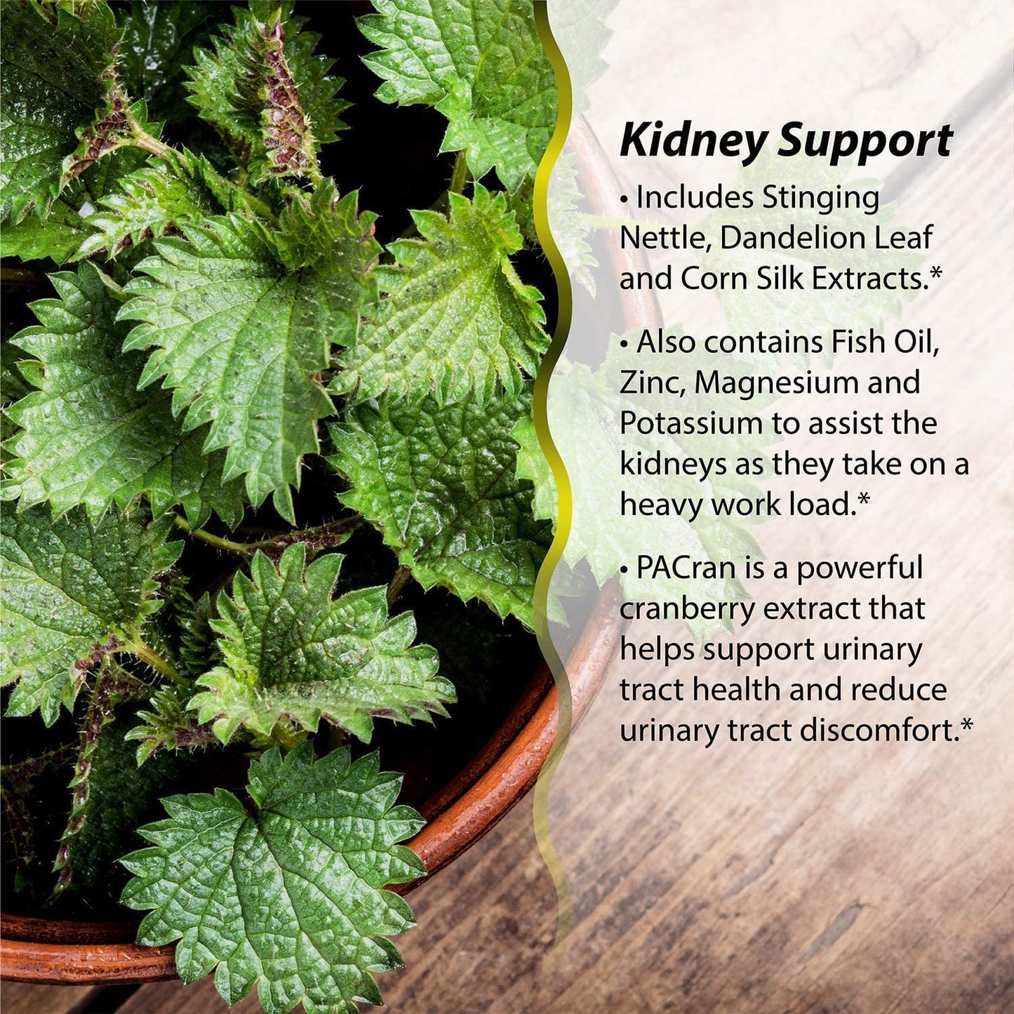 Irwin Naturals 2-in-1 Kidney & Liver Super Cleanse (60 Liquid Softgels) Bundle with Pill Case - Liver and Kidney Detox Cleanse Supplement to Repair and Support Healthy Kidney and Liver Function