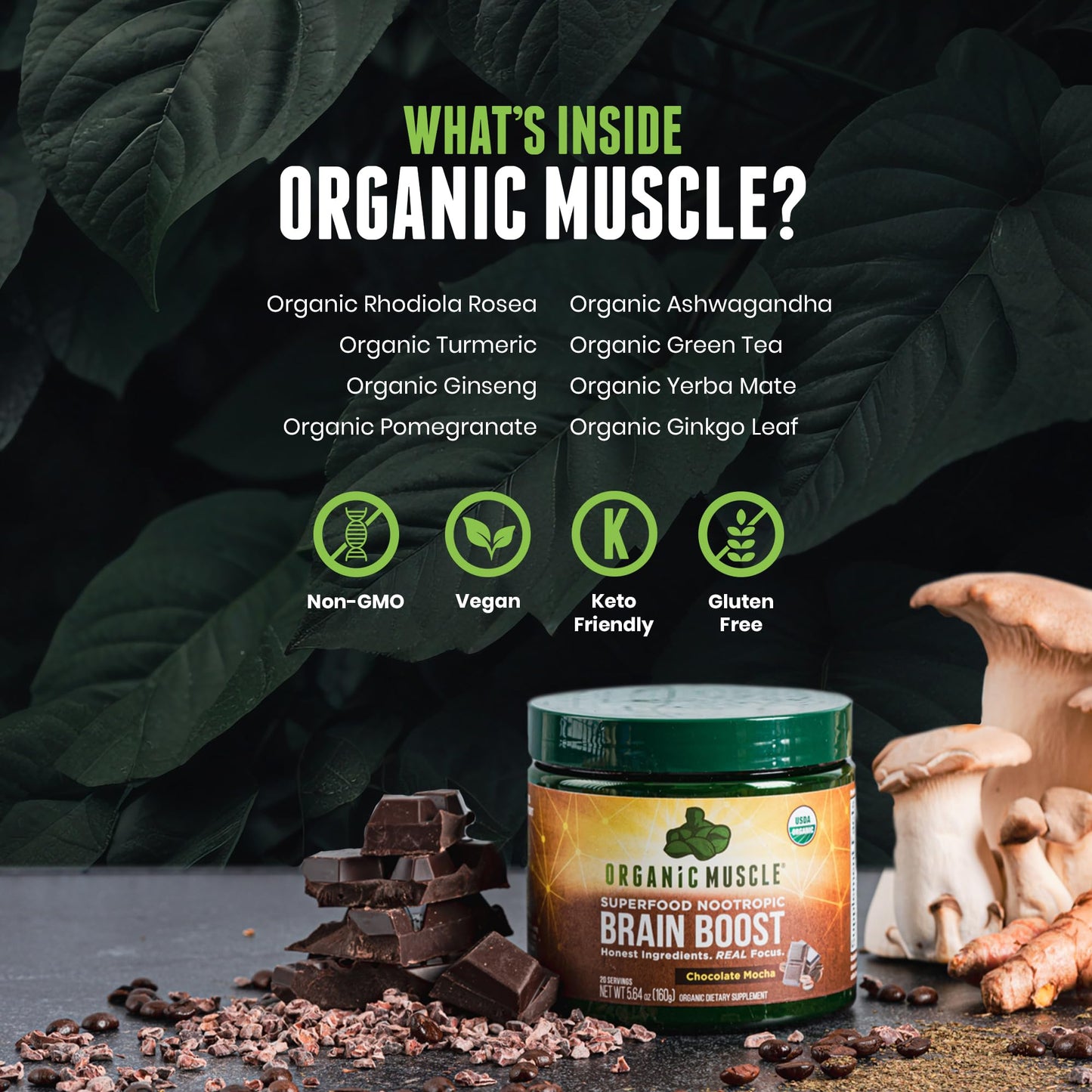 Organic Muscle Brain Boost Nootropics Blend - Vegan & Organic Superfood Health Supplements for Focus, Memory & Productivity with Ashwagandha, Ginkgo & Ginseng - Chocolate Flavor, 20 Servings