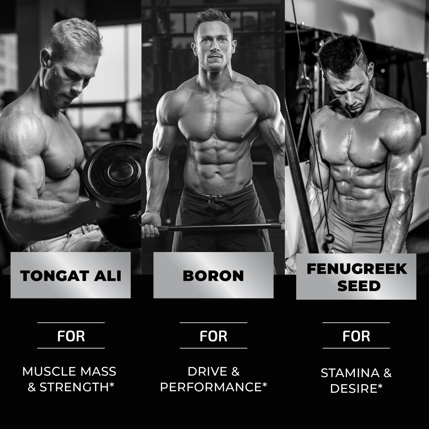 Testosterone Supplement for Men for Muscle Growth, Stamina & Performance | Testosterone Booster Muscle Builder for Men | Test Boost Max with Tongat Ali | Test Booster & Male Enhancement | 60 Gummies