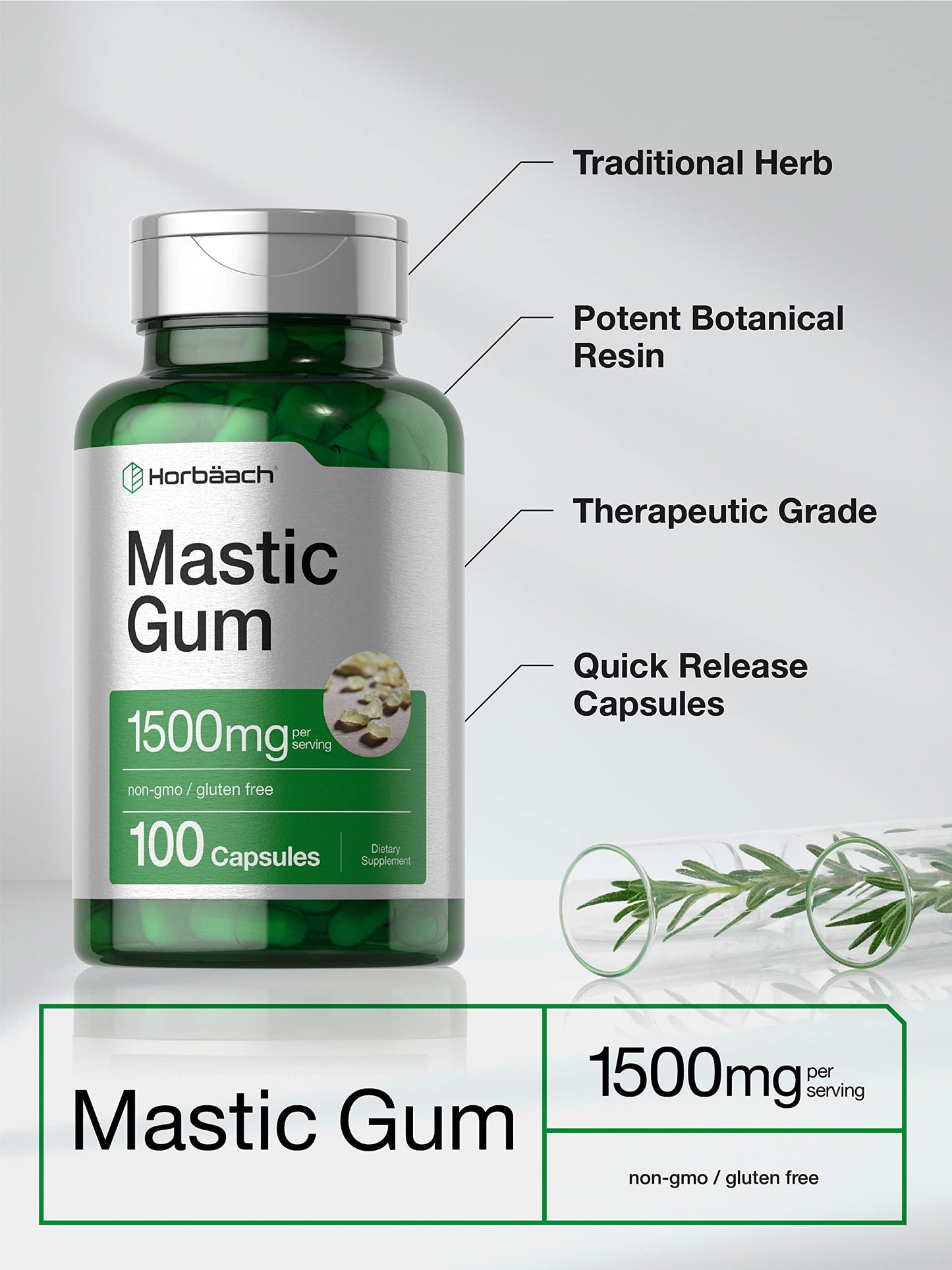 Horbäach Mastic Gum Capsules 1500mg 100 Count | Non-GMO & Gluten Free