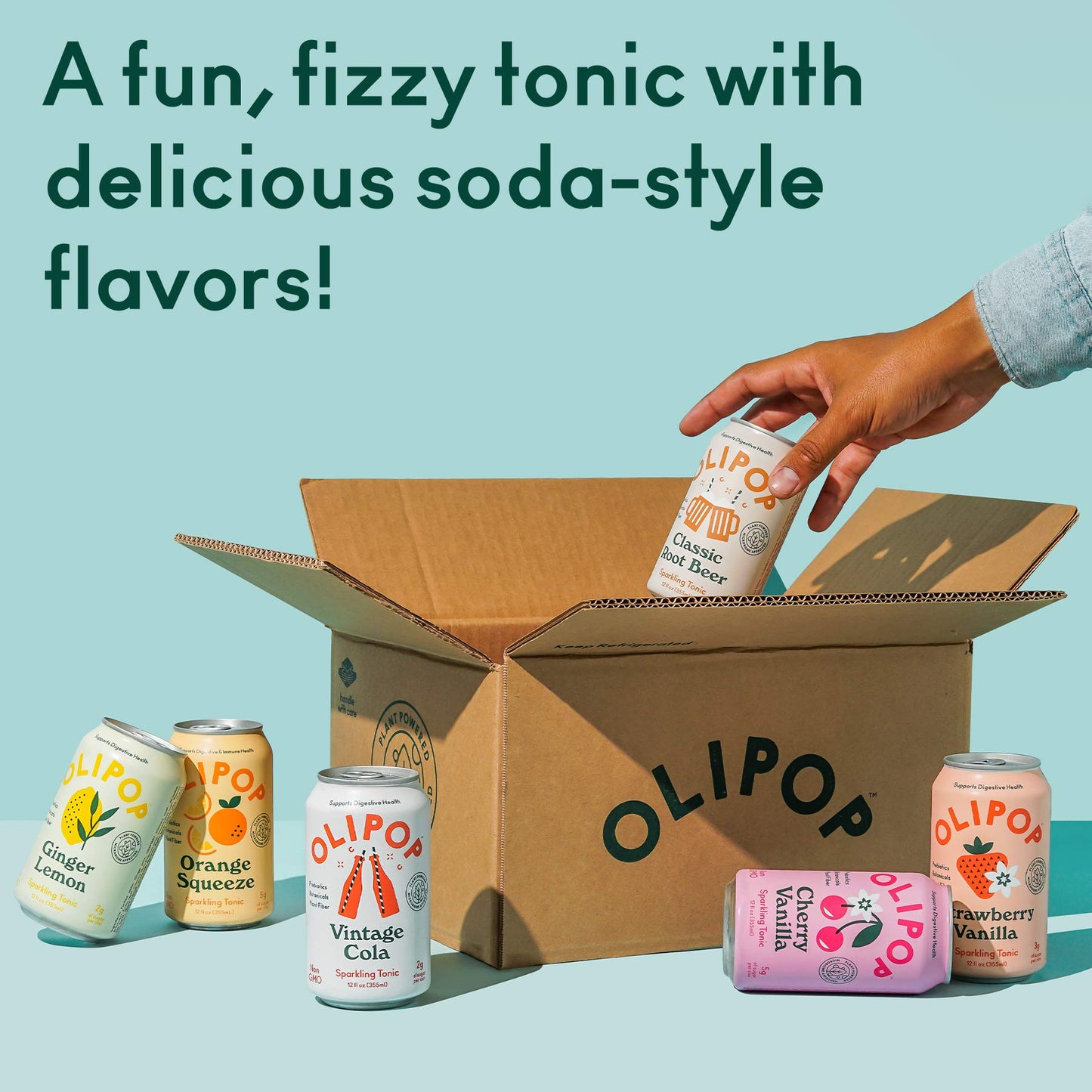 OLIPOP  The Sampler 6Flavor Soda Variety Pack Healthy Soda Prebiotic Soft Drinks Supports Digestive Health  Gut Health High Fiber Low Calorie Low Sugar Vegan 12 oz 12Pack