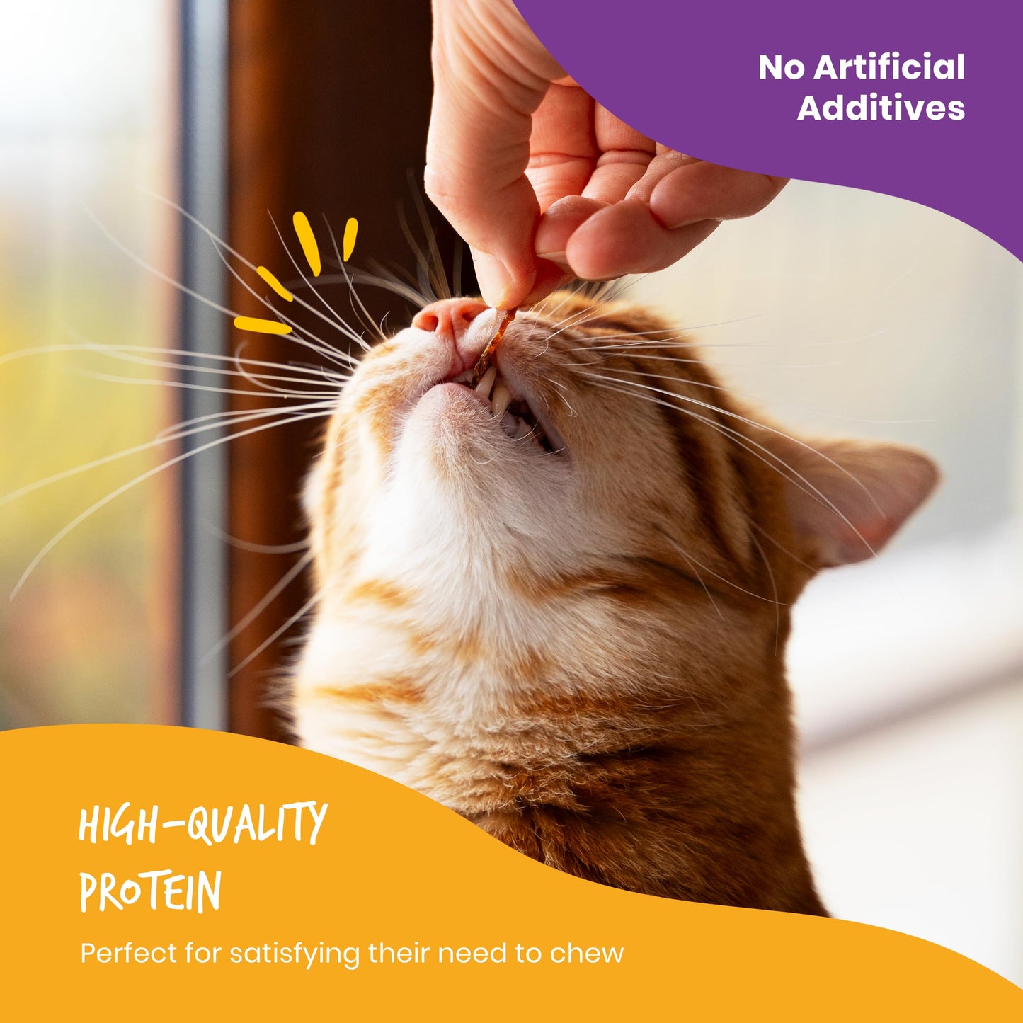 Beefeaters Cat Treat  Chicken Fillet Recipe Shreds 141oz Case of 12  Real Cat Food No SugarSoyCornWheat  High Protein  Taurine  Training Treats  No Artificial Additives