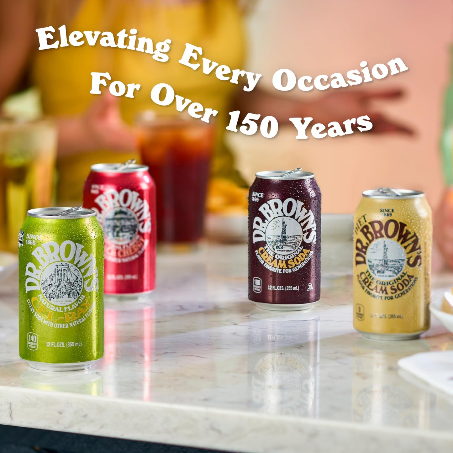 Dr Browns Ginger Ale Soda  A New York Original  24 Cans of Refreshing Kosher Gourmet Soda Pop  Ginger Ale Soda  24 x 12 oz Cans