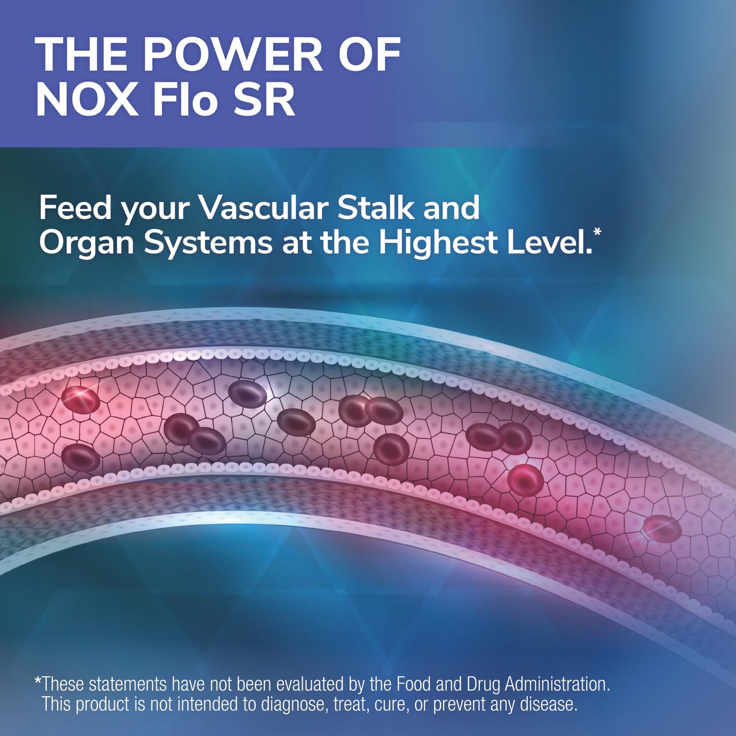 Tesseract NOX Flo SR Nitric Oxide Booster, Vascular Health Supplement, 120 Capsules, Sustained-Release L Citrulline, Coenzyme Q10 & R Lipoic Acid, Circulation & Blood Pressure Support, Hypoallergenic