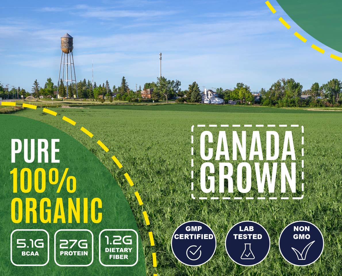 VUNNEX Plant Based - 100% Pure Organic Hydrolyzed Pea Protein Powder - Canada Grown Yellow Pea, Vegan Natural Unflavored, Dairy Free, Gluten Free, Soy Free, Sugar Free, Non-GMO with BCAA 2.62lb