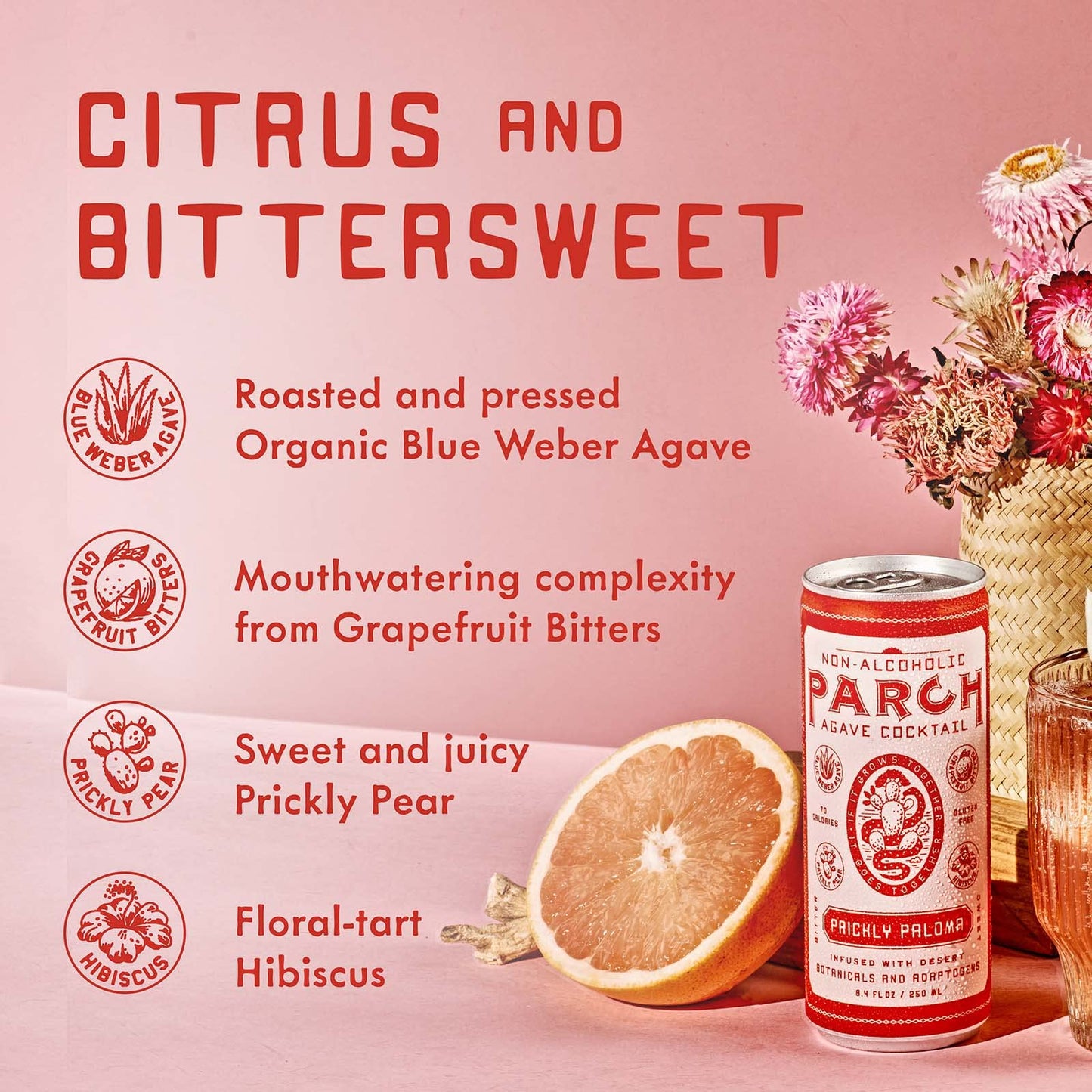 PARCH Spiced Pinarita  Prickly Paloma Variety Pack Ready to Drink Non Alcoholic Agave Cocktail Infused with Desert Botanicals  Adaptogens Plant Based Gluten Free  Vegan 84 oz x 8 pack