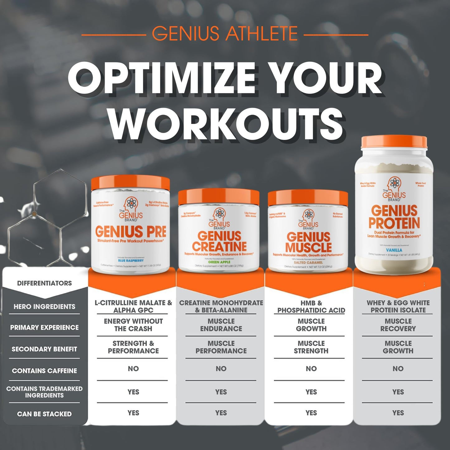 Genius Micronized Creatine Monohydrate Powder, Post Workout Supplement, Unflavored - 100% Naturally Flavored & Sweetened - Supports Muscle Building, Cellular Energy & Cognitive Function - 170g