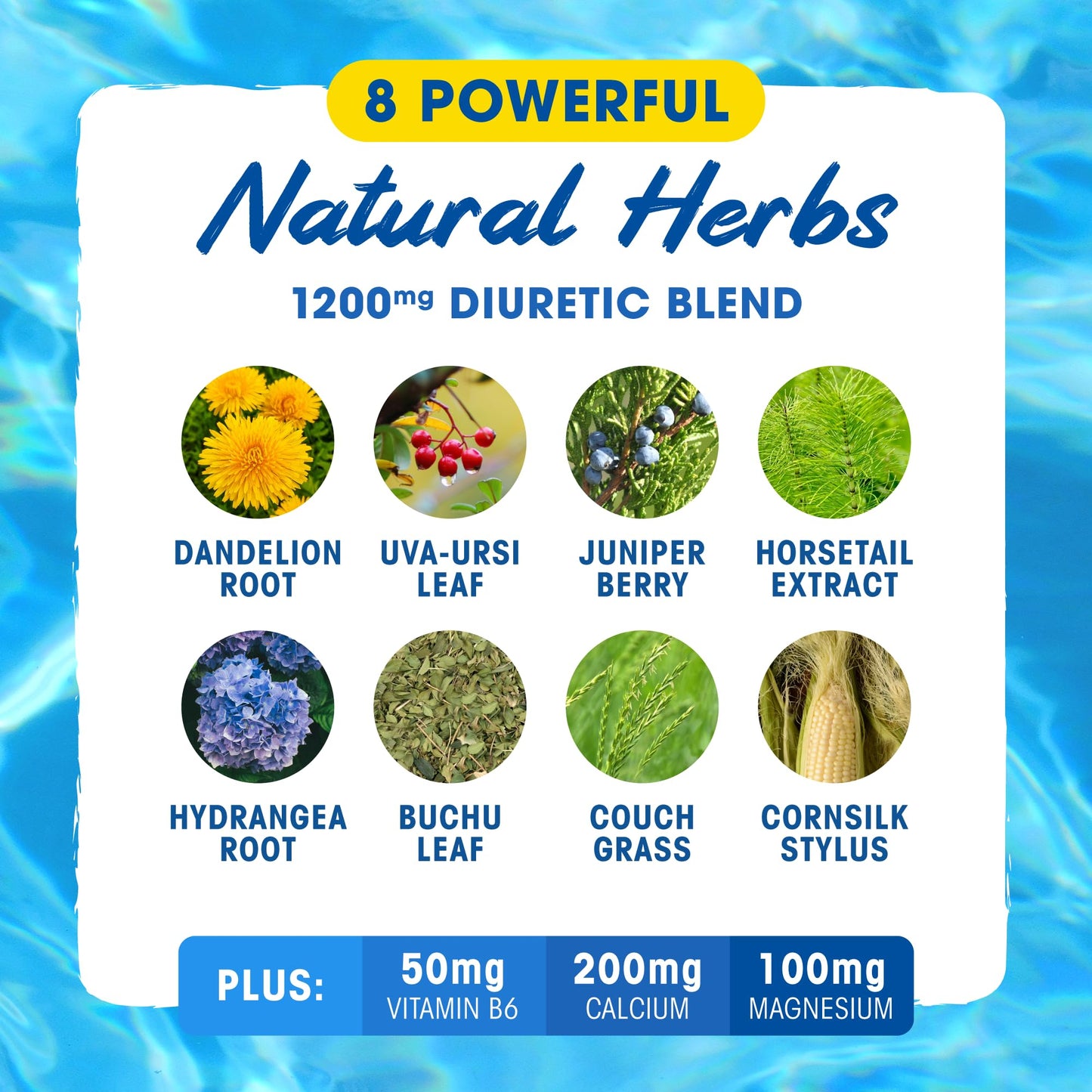 MHP Xpel Maximum Strength Diuretic Water Pills, for Water Retention Relief, Caffeine-Free with Vitamin B-6 Potassium Dandelion Root, 80 Capsules