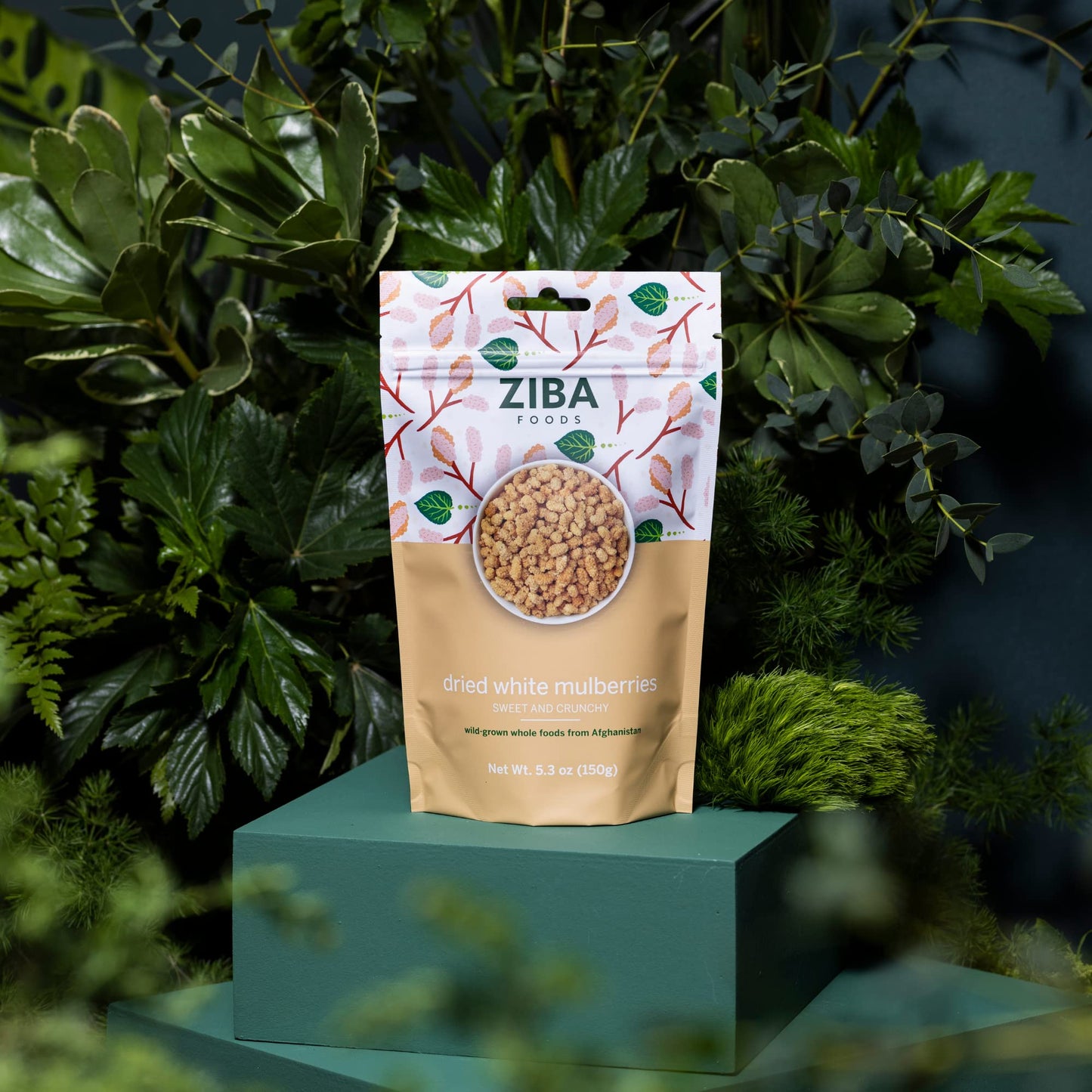 Ziba Foods Wild Grown Dried Mulberries  NonGMO Vegan Whole 30 Friendly  Paleo White Mulberry Dried Fruit Pack  Wild Grown Superfood Naturally High In Immune Boosting Antioxidants 53 oz