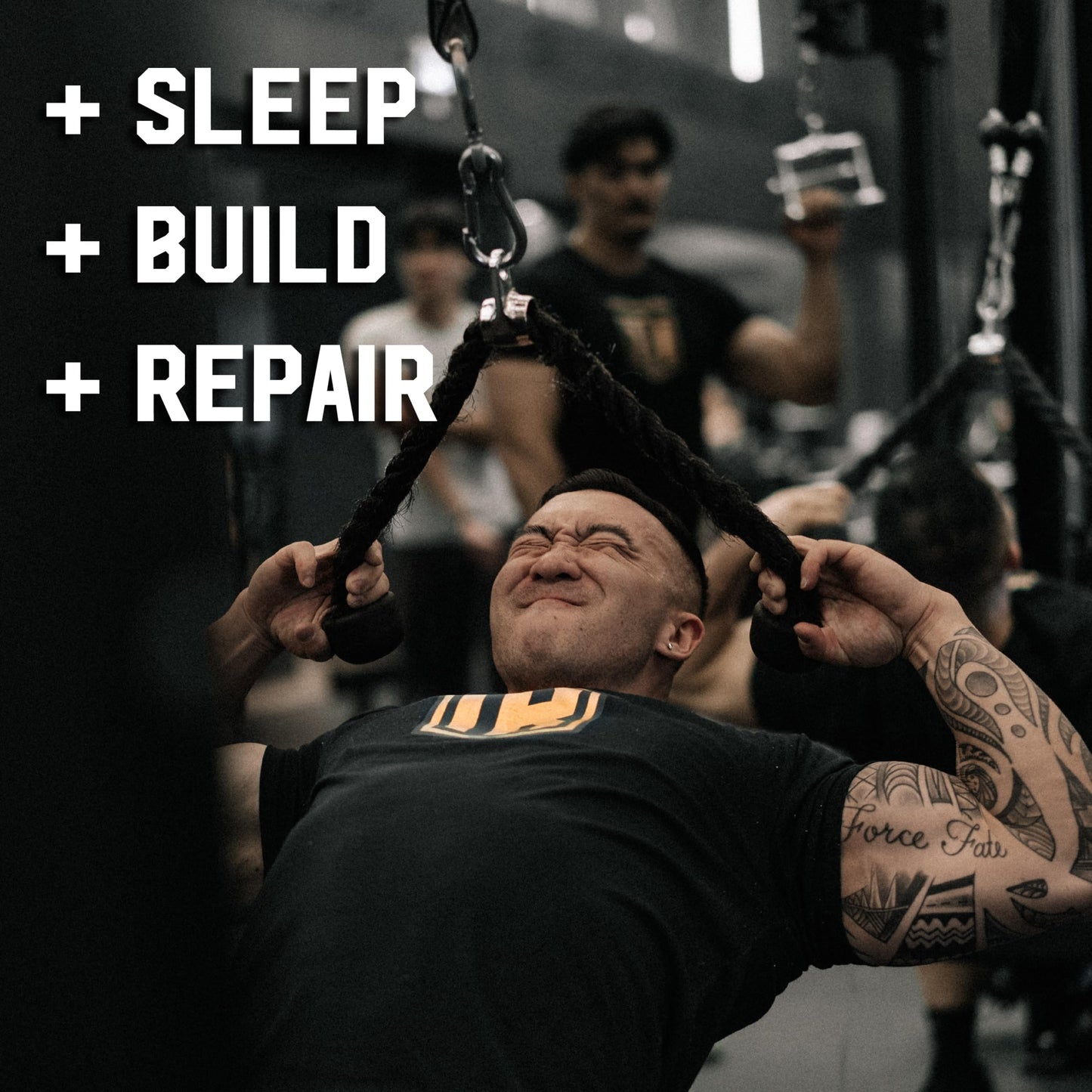 IRON KINGDOM: Sleep + Build