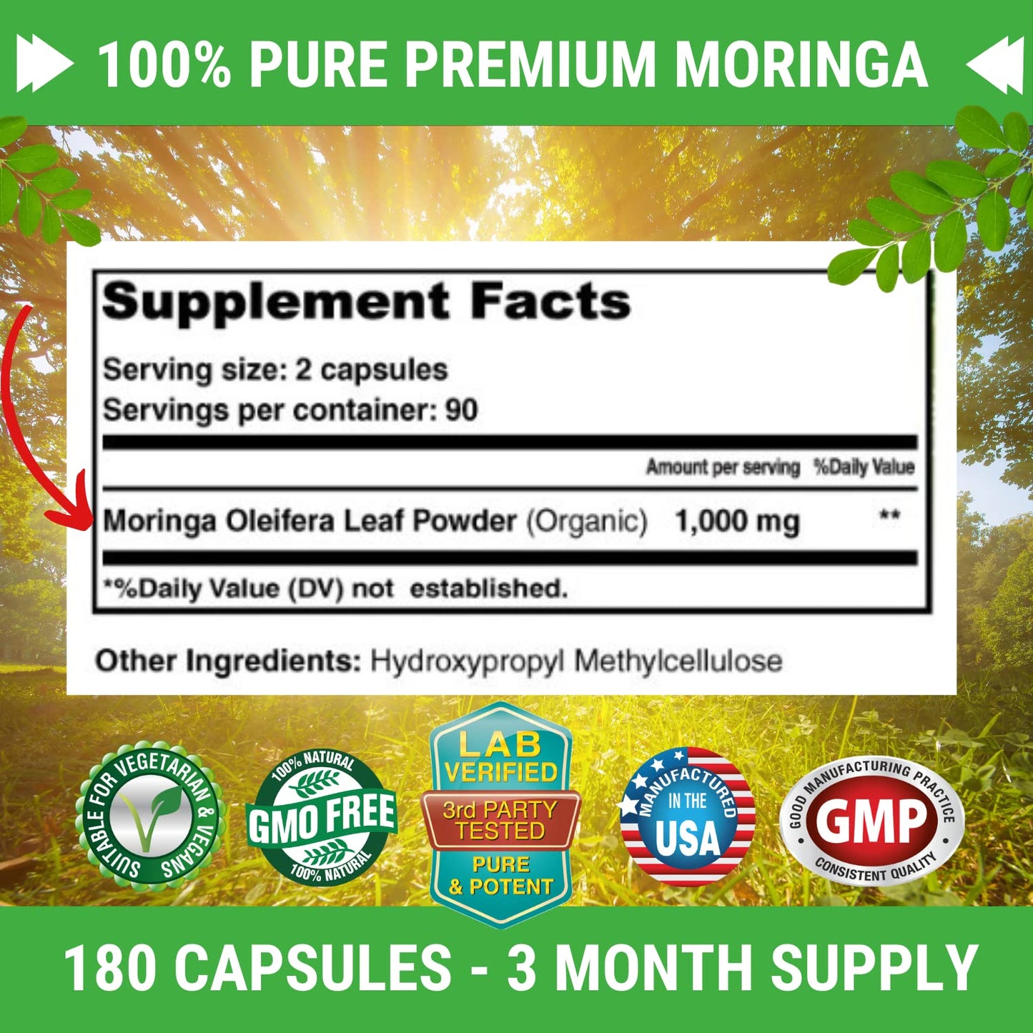 FRESH HEALTHCARE Moringa Oleifera 180 Capsules - 100% Pure Leaf Powder - 3 Month Supply - Non GMO and Gluten Free - Complete Green Superfood Supplement - Energy, Metabolism and Immune Support