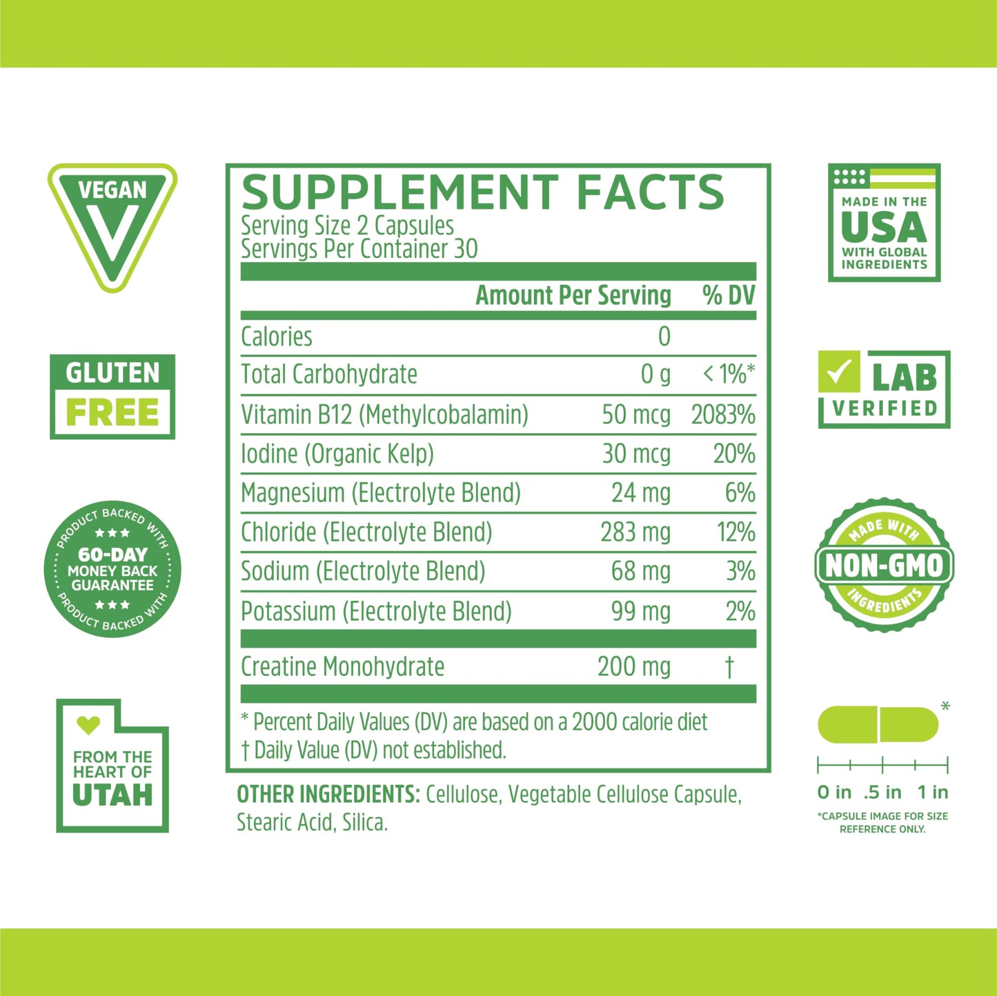 Zhou Fast Support+ Intermittent Fasting Support Supplement, Vitamin B12 for Energy, Electrolytes Magnesium, Chloride, Sodium, Potassium, Creatine Monohydrate, Physical Performance, 60 Veg Caps