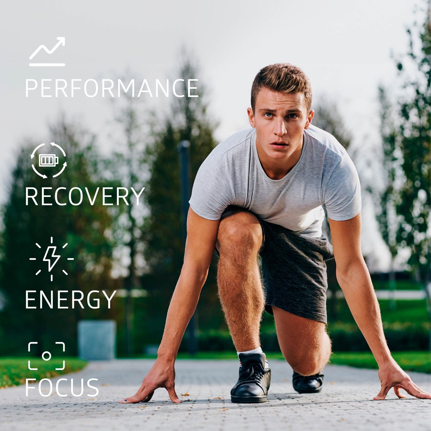 N1 Nutrition Premium Theaflavins Black Tea Extract [40% Theaflavins] Powered by TheaFit™ to Support Exercise Performance and Reduce Recovery Time, 90 Veg Caps