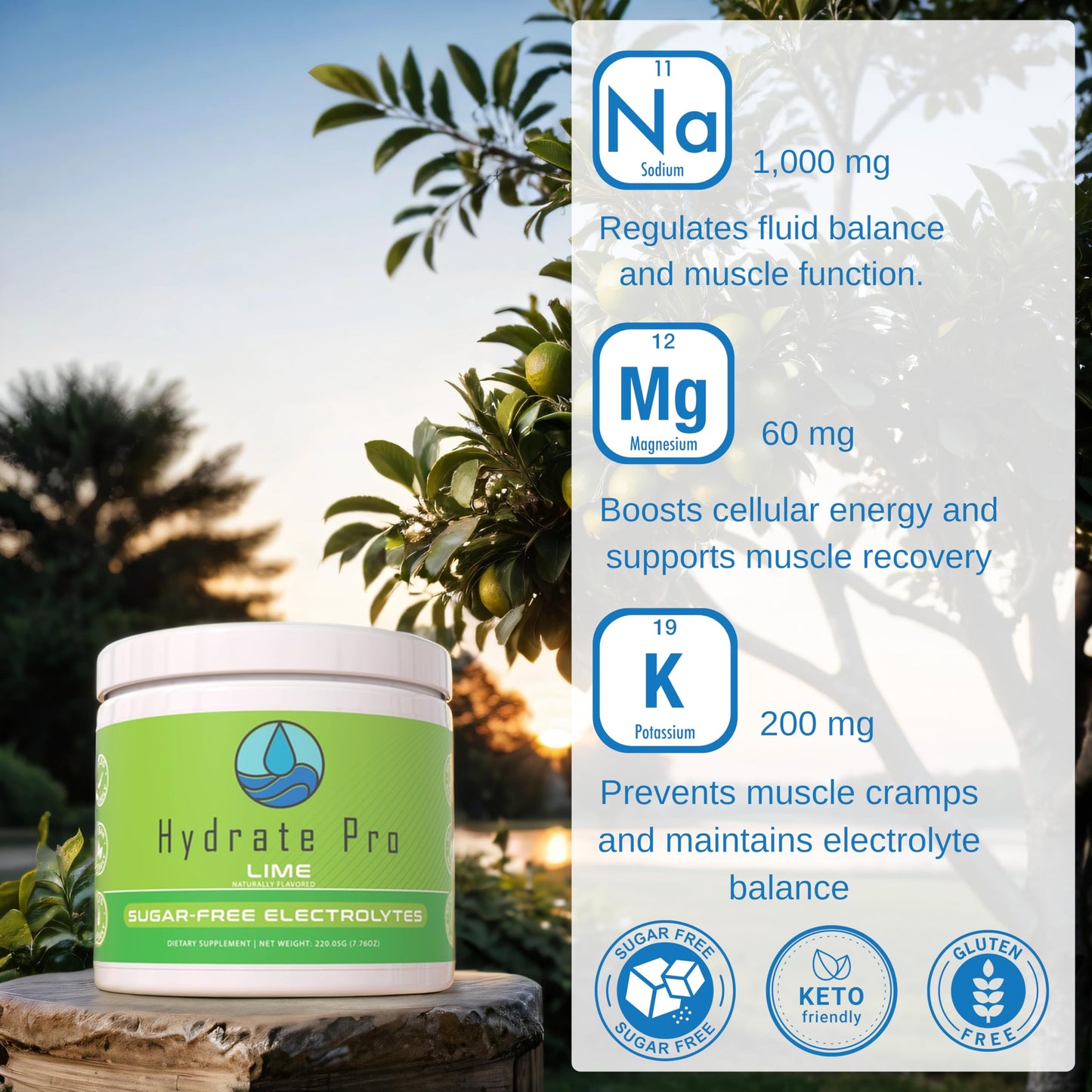 Hydrate Pro Sugar-Free Electrolyte Powder | 1000mg High-Sodium Electrolyte Complex | POTS Support & Keto Flu Prevention | 45 Servings Natural Hydration (Lime)