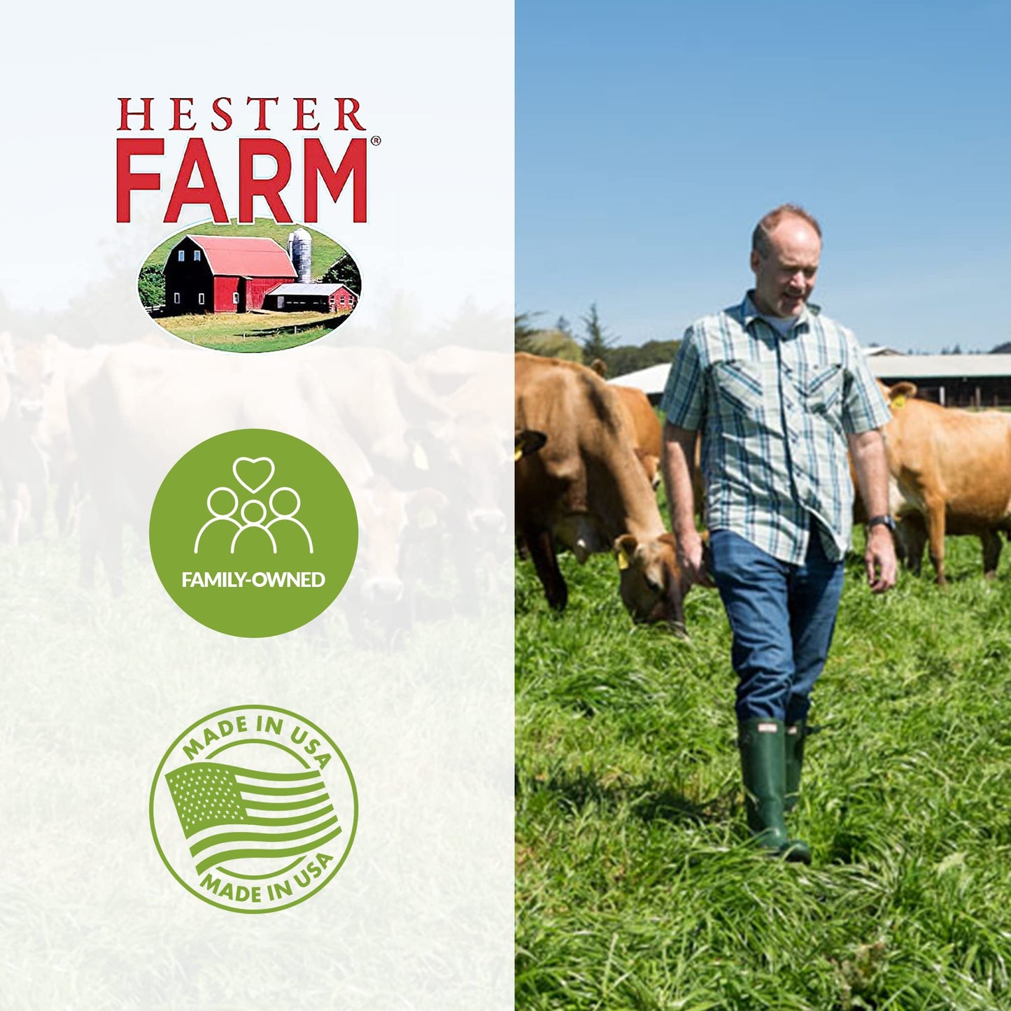 Hester FARM Lactose Free Chocolate Whey Milk Powder for Kids and Adults LactoseFree Chocolate Milk Instant Breakfast Chocolate 300g