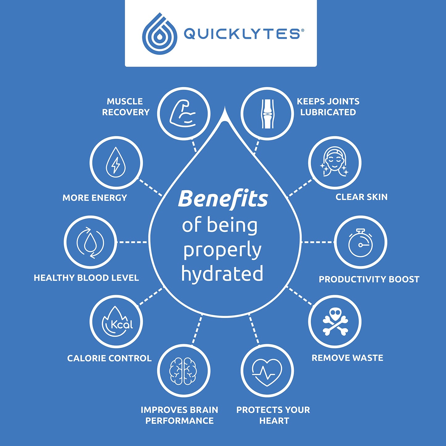 Quicklytes Electrolytes Supplement for Rapid Hydration | No Calorie No Sugar | Potassium, Magnesium & Sodium | Leg Cramp Relief | 48 Servings (1 Bottle)
