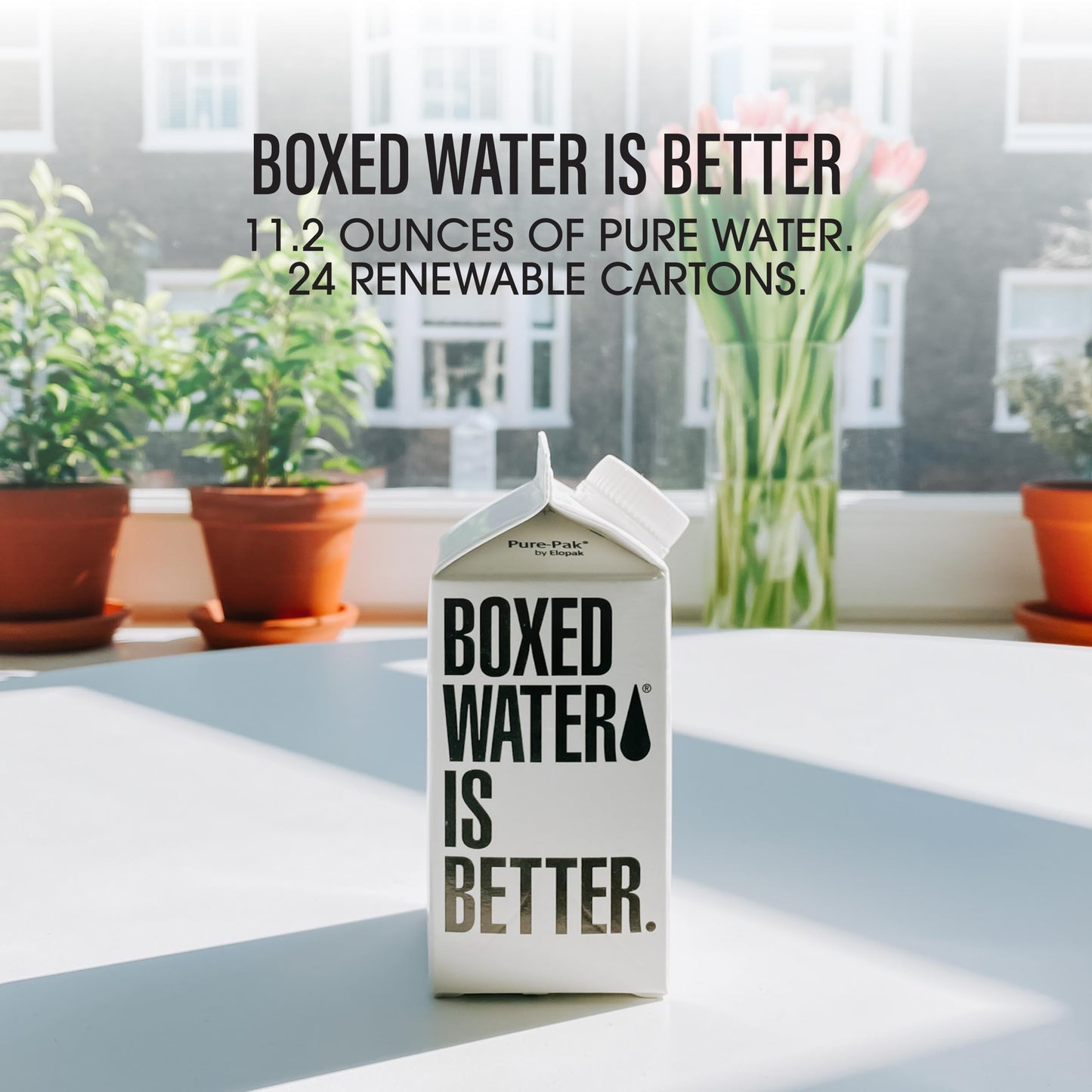 Boxed Water 118 oz 24 Pack  Purified Drinking Water in 92 PlantBased Boxes  100 Recyclable BPAFree Refillable Reusable Cartons  Mini Water