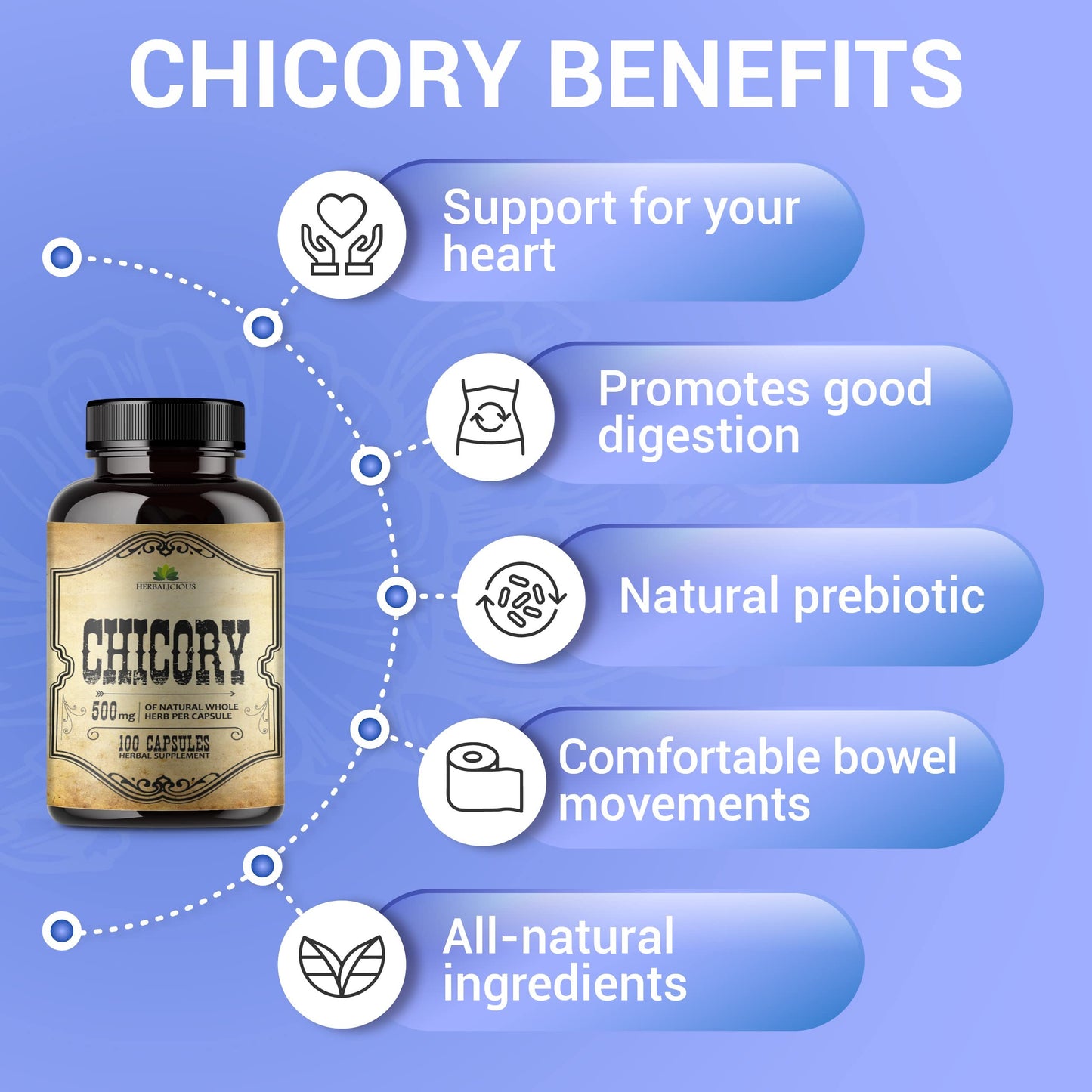 HERBALICIOUS Chicory Root Supplement Prebiotic - Natural Herbal Support for Immune System, Digestion, Appetite Control, Heart Health - 100 Capsules