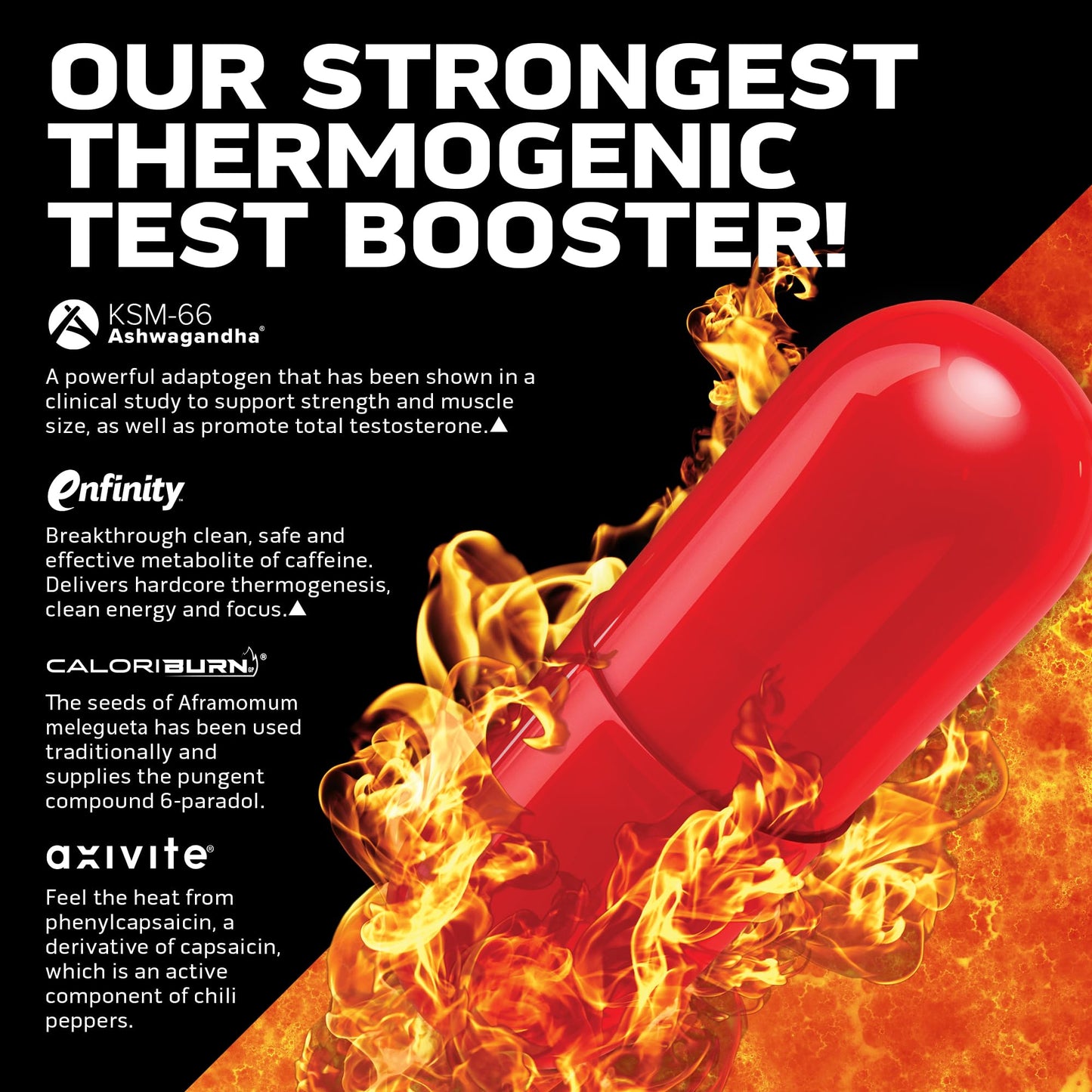 MuscleTech AlphaTest Thermo XTR Thermogenic Testosterone Booster| Muscle & Strength Builder for Men | Workout Supplement | 90 Capsules | 30 Servings