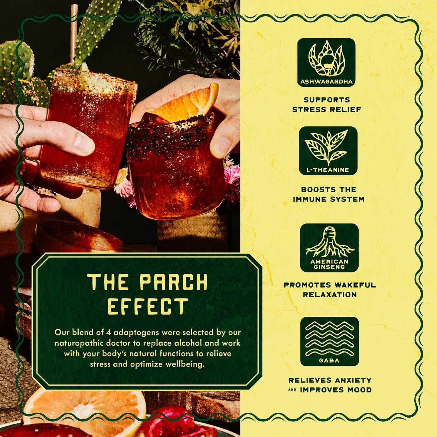 PARCH Spiced Pinarita  Prickly Paloma Variety Pack Ready to Drink Non Alcoholic Agave Cocktail Infused with Desert Botanicals  Adaptogens Plant Based Gluten Free  Vegan 84 oz x 8 pack