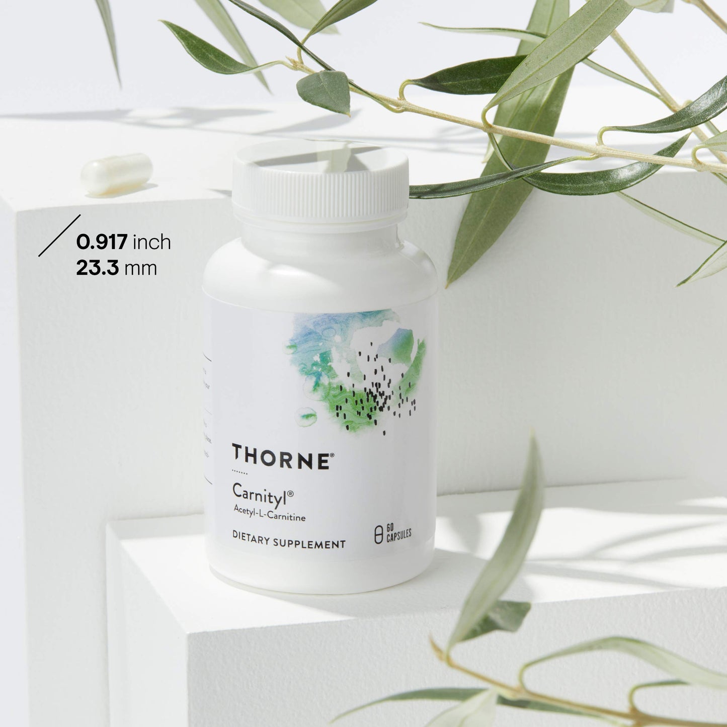 THORNE Acetyl-L-Carnitine - 500 mg - Supports Brain Function & Healthy Nerve Sensations in The Hands & Feet* - Gluten, Dairy & Soy-Free - 60 Capsules