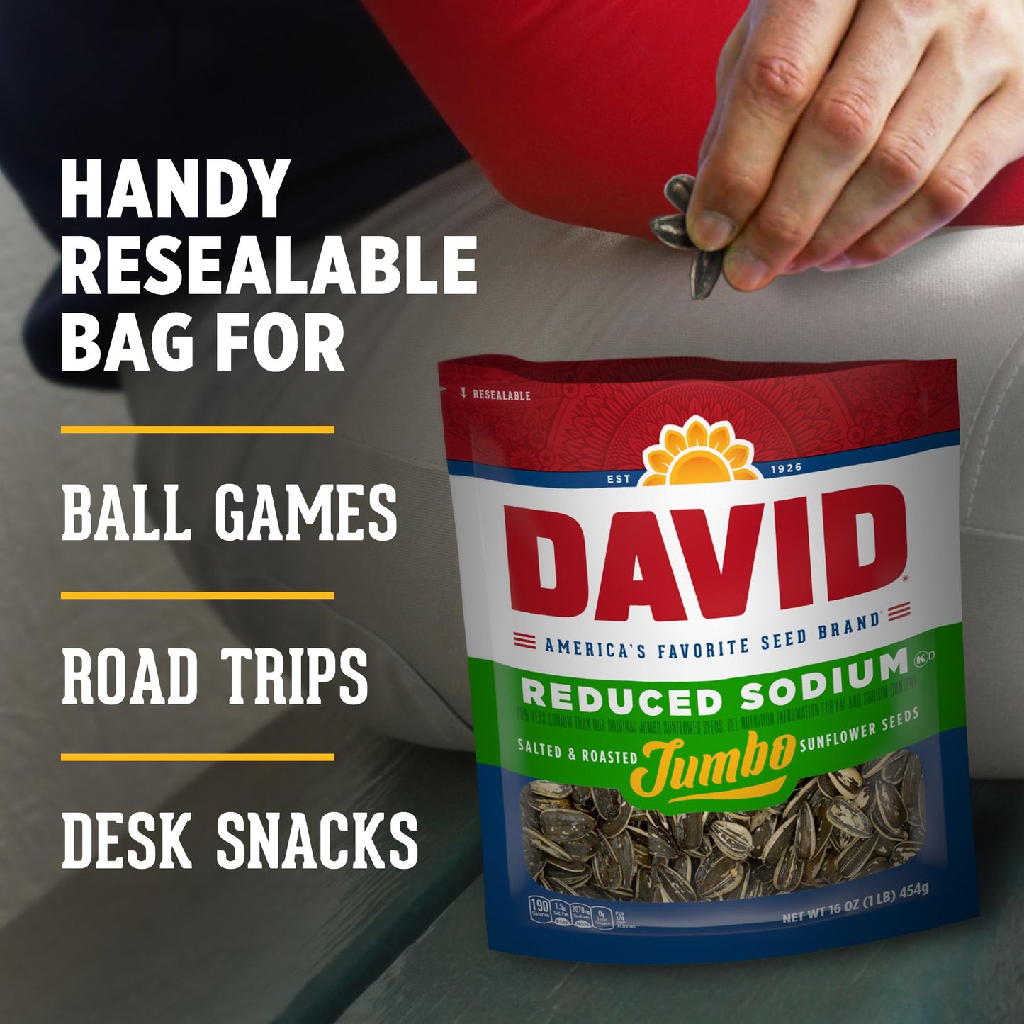 DAVID Reduced Sodium Jumbo Sunflower Seeds 16 oz