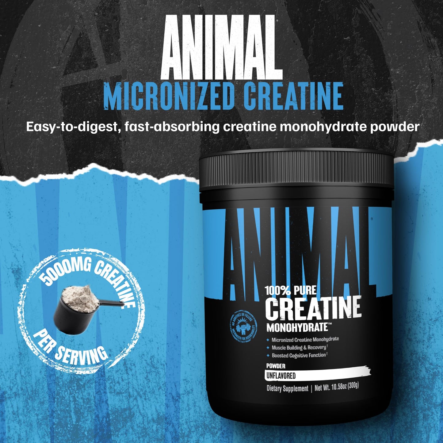 Animal Creatine Monohydrate Powder - Micronized Creatine for Women and Men, Supports Muscle Growth, Strength, Endurance, Recovery and ATP Production, Gym & Workout Supplements - Unflavored, 300g