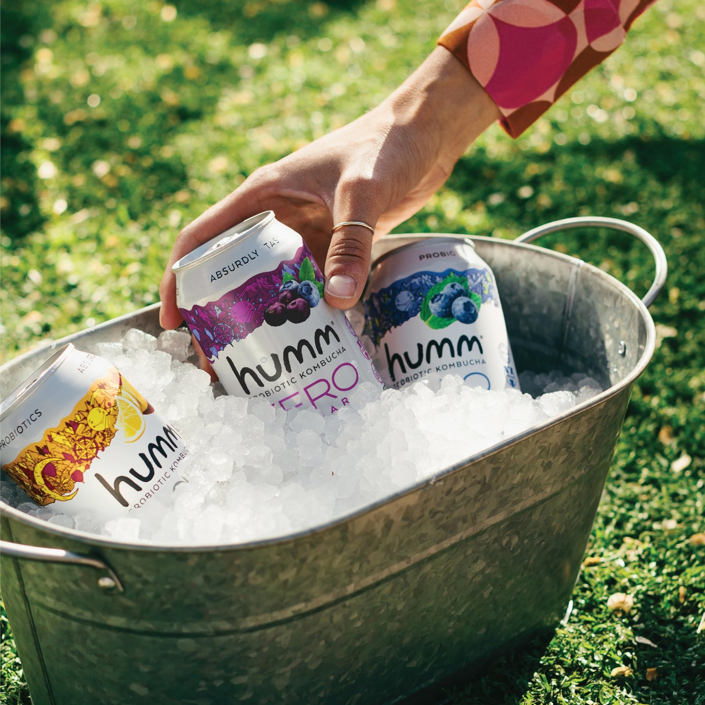 Humm Probiotic Kombucha Zero Sugar Blueberry Acai  No Refrigeration Needed KetoFriendly Organic Vegan GlutenFree  12oz Cans 8 Pack