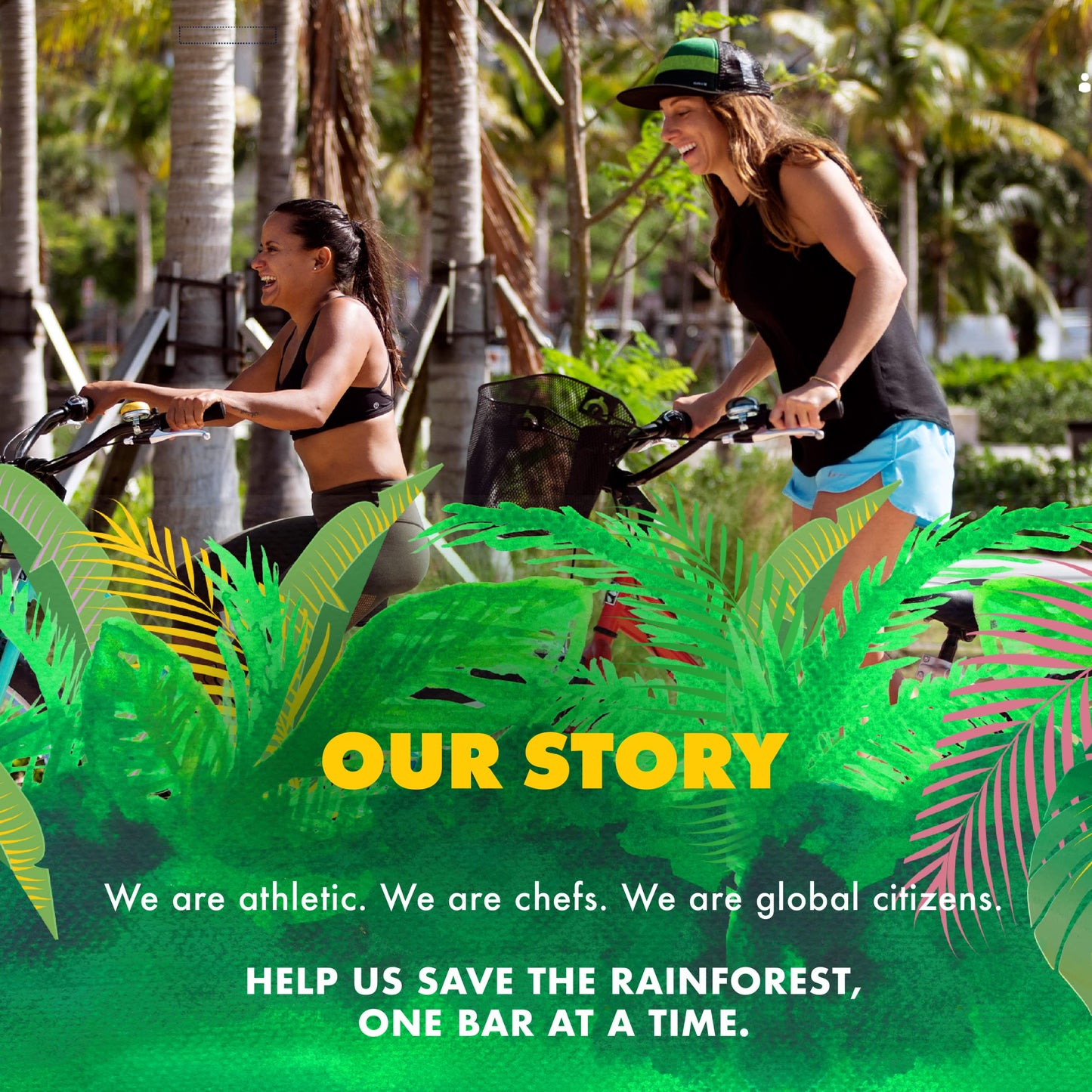 SAVE THE RAINFOREST by SHANTI BALANCE | Blueberry Matcha | 15G Plant Protein | Organic Gluten Free Superfood | Gut Health Prebiotics | Immunity Boosting | Performance Nutrition | 12 Count, 2 oz Bars