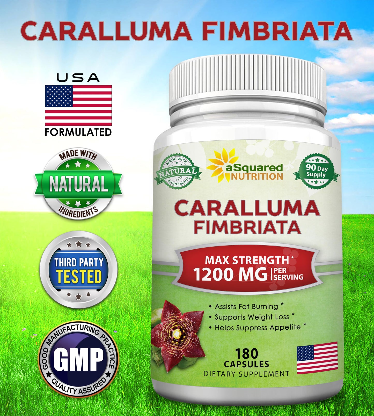 aSquared Nutrition Caralluma Fimbriata 1200mg - 180 Capsules, Natural Extract Weight Loss Diet Pill Supplements, Plant Root Appetite Suppressant & Pure Energy Booster, Max Strength Slim Lean Fat Burn