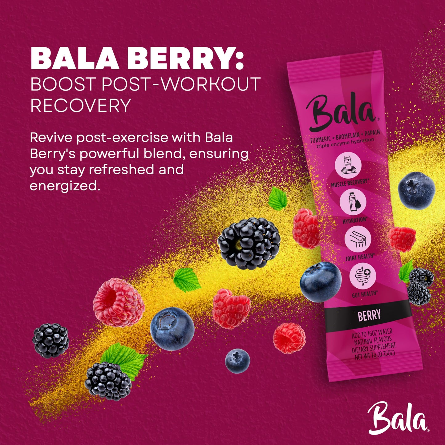 BALA Enzyme Hydration & Sugar-Free Electrolyte Drink Mix Powder - Turmeric, Bromelain, Papain - Recovery, Immunity, Mobility - Berry 0.25oz (8 Count)