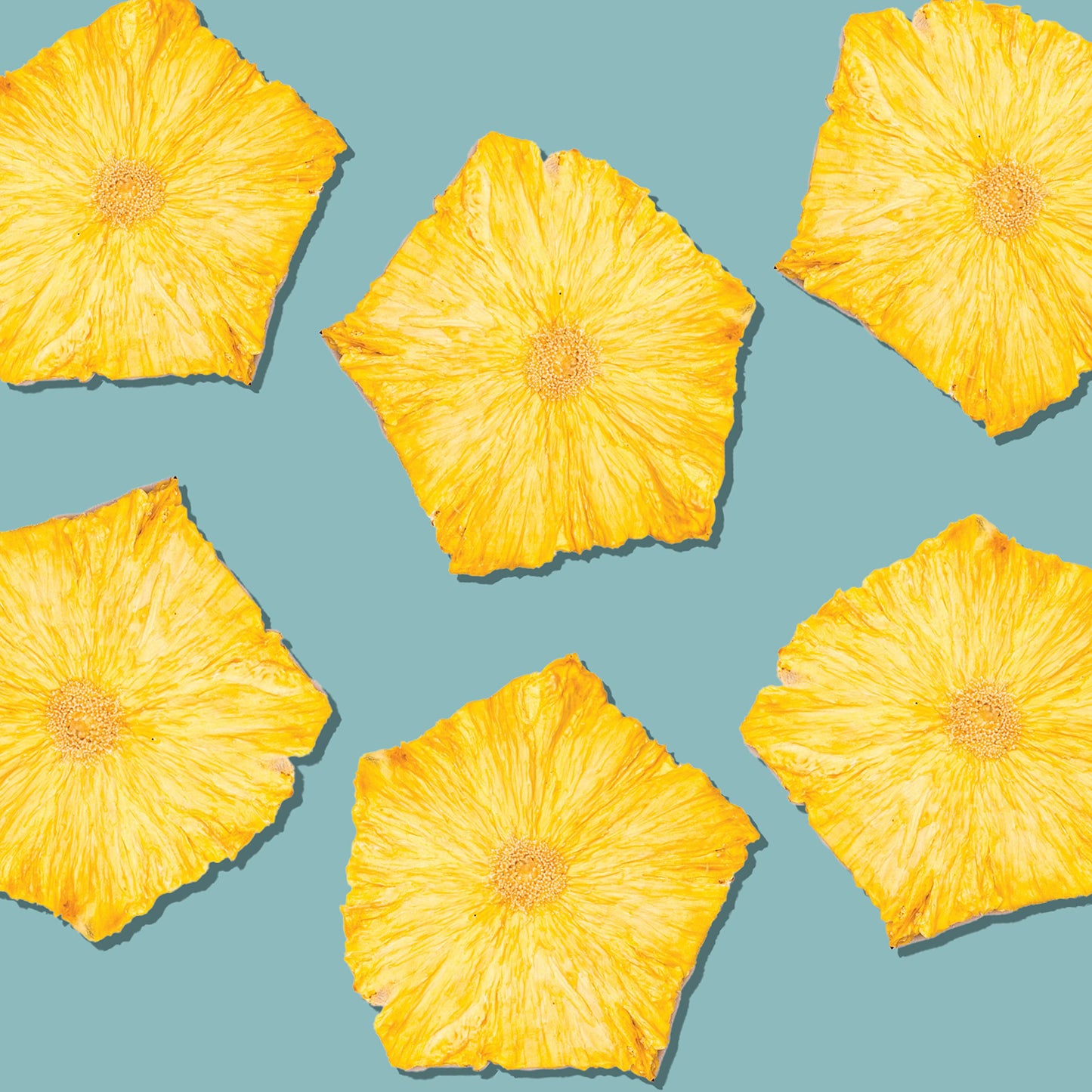 BlueHenry Dehydrated Pineapple SlicesFlowers  3 oz  20 slices  Natural Fruit