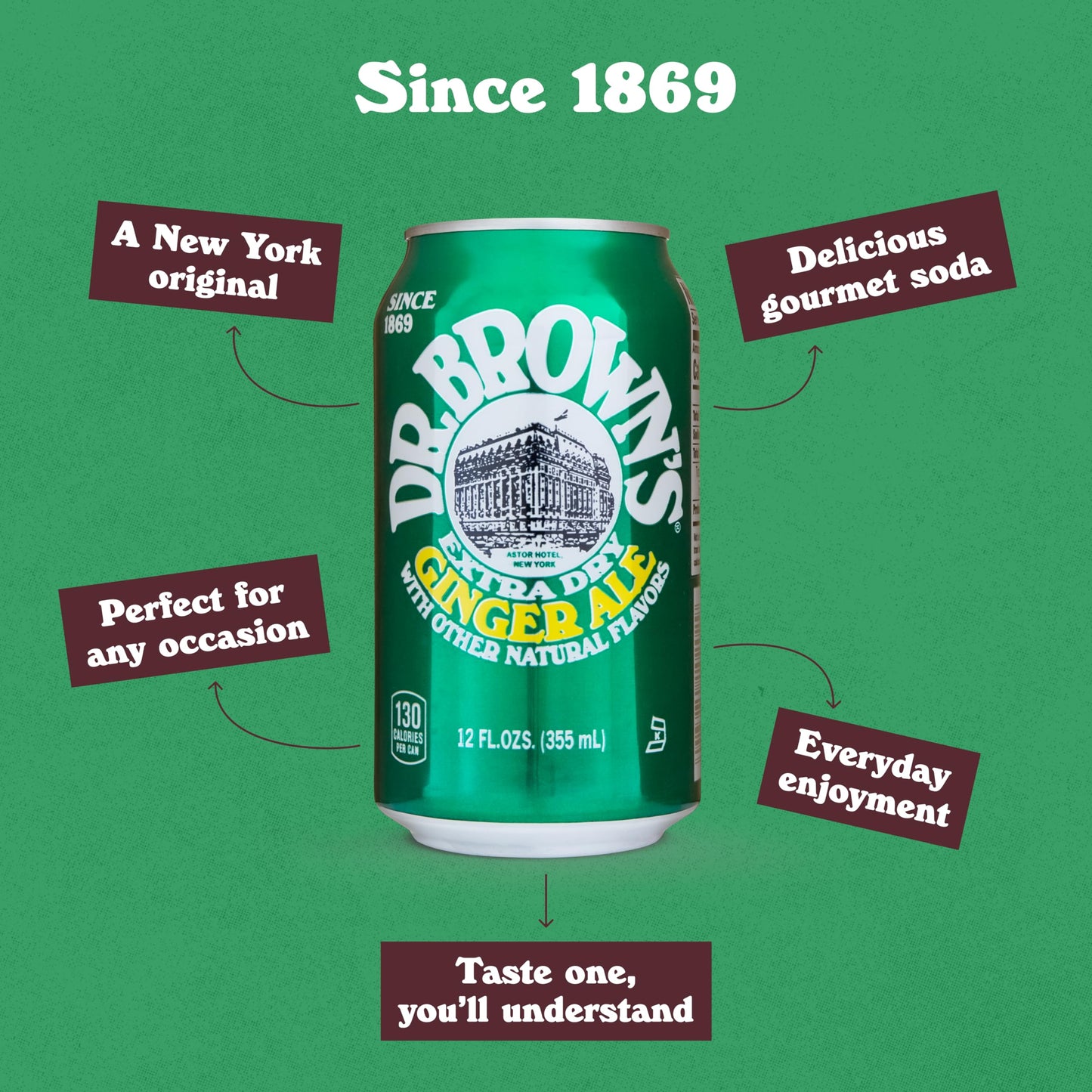 Dr Browns Ginger Ale Soda  A New York Original  24 Cans of Refreshing Kosher Gourmet Soda Pop  Ginger Ale Soda  24 x 12 oz Cans