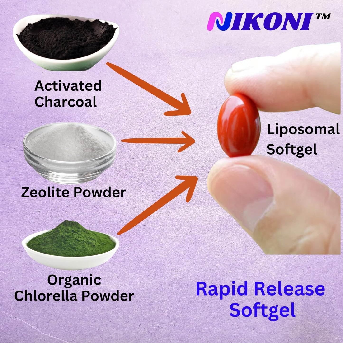 Nikoni Liposomal Zeolite, Activated Charcoal & Organic Chlorella, Supports Full Body Detox (240 Softgels)