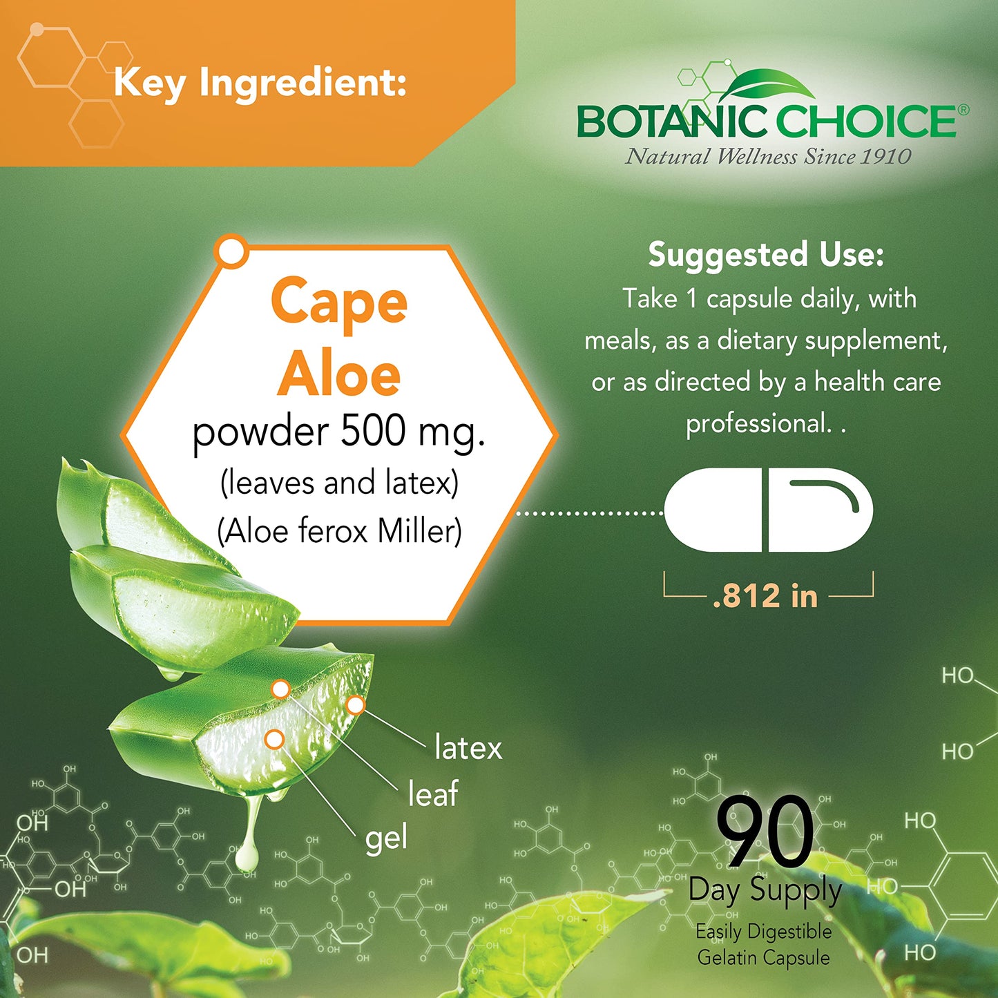 Aloe Vera- Leaf and Latex, Digestive, Liver, Stomach health-Contains Amino Acids, Vitamins, Minerals, Enzymes- 500mg-Gluten Free, Non-GMO-90 capsules