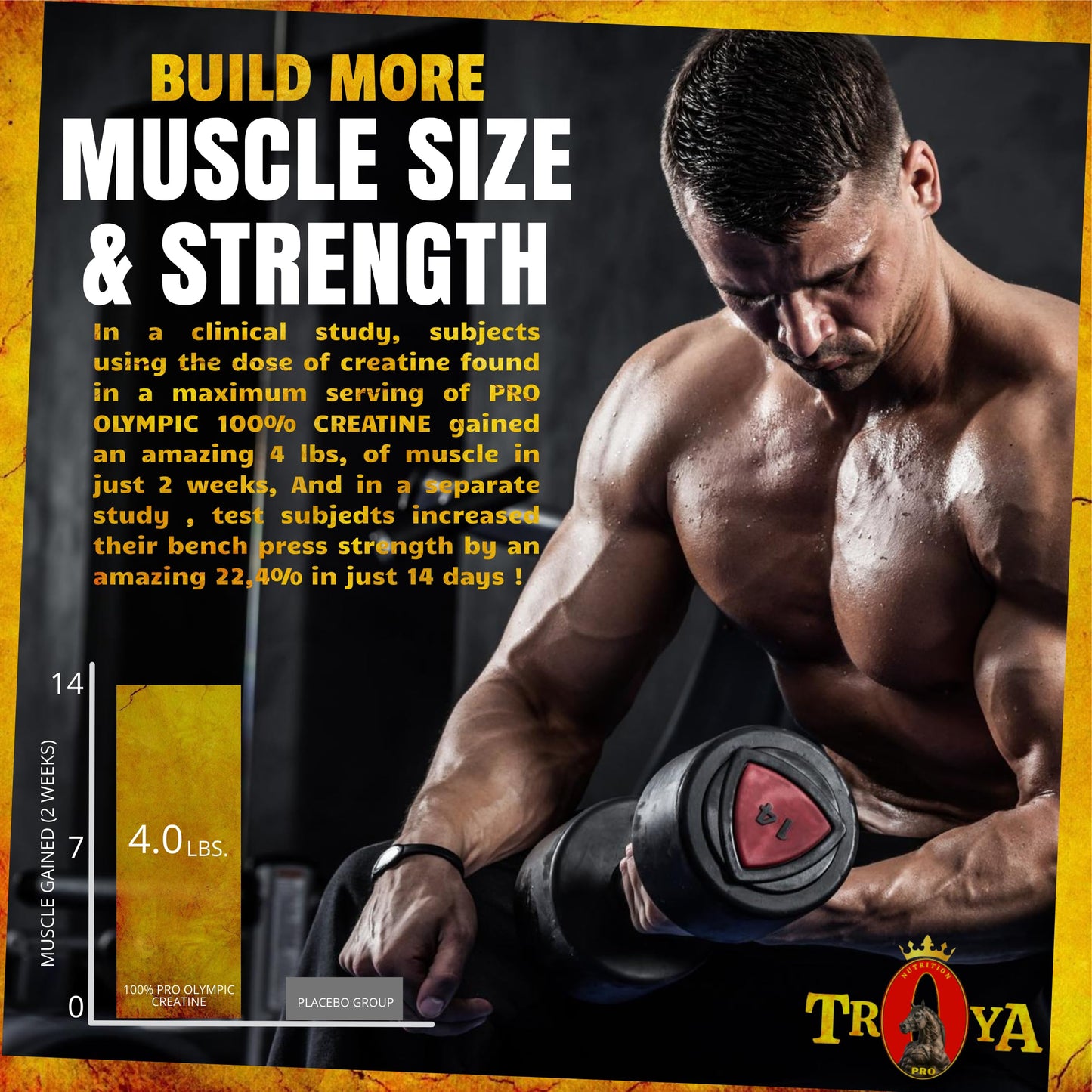 CREATINE MONOHYDRATE Powder Pure Micronized Muscle Recovery + Builder for Men & Women | Nutrition Pre and Post Workout | Professional Dosage (100 Grams (20 Services))