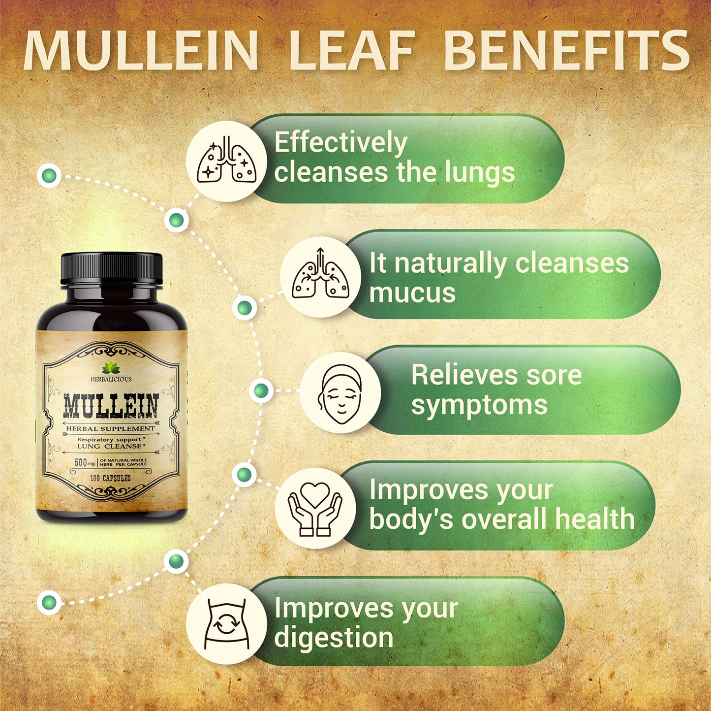 HERBALICIOUS Mullein Leaf Capsules - Verbascum Thapsus Supplement - Herbal Extract Promoting Lung Respiratory & Digestive Wellness - Lung Cleanse & Detox Support Pills - Vegan Non-GMO, 100 Capsules